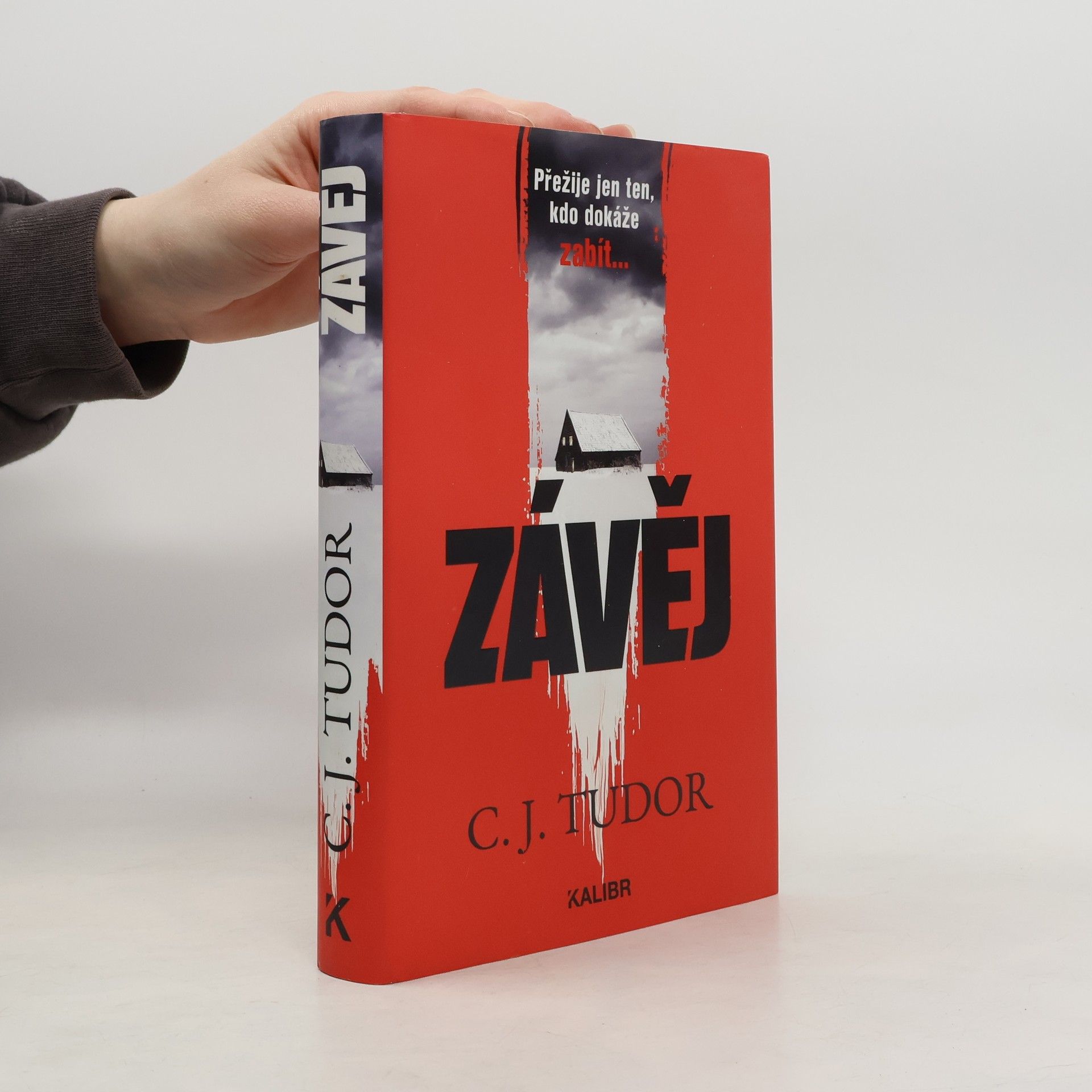 Jana Kunová Závěj