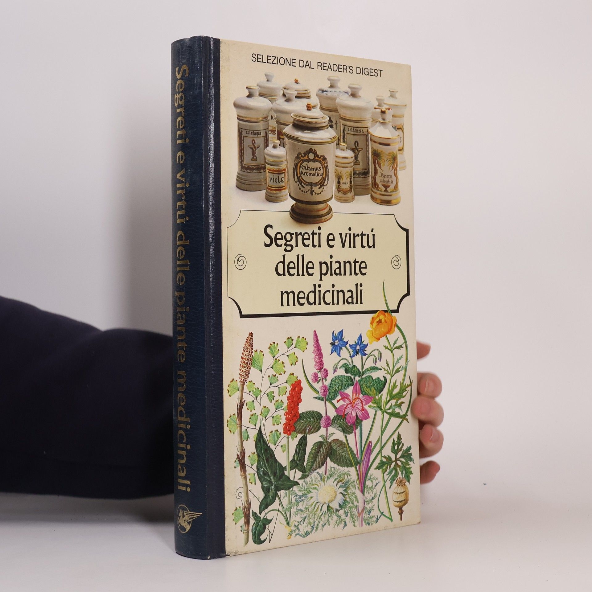 Autorenkollektiv Segreti e virtú delle piante medicinali