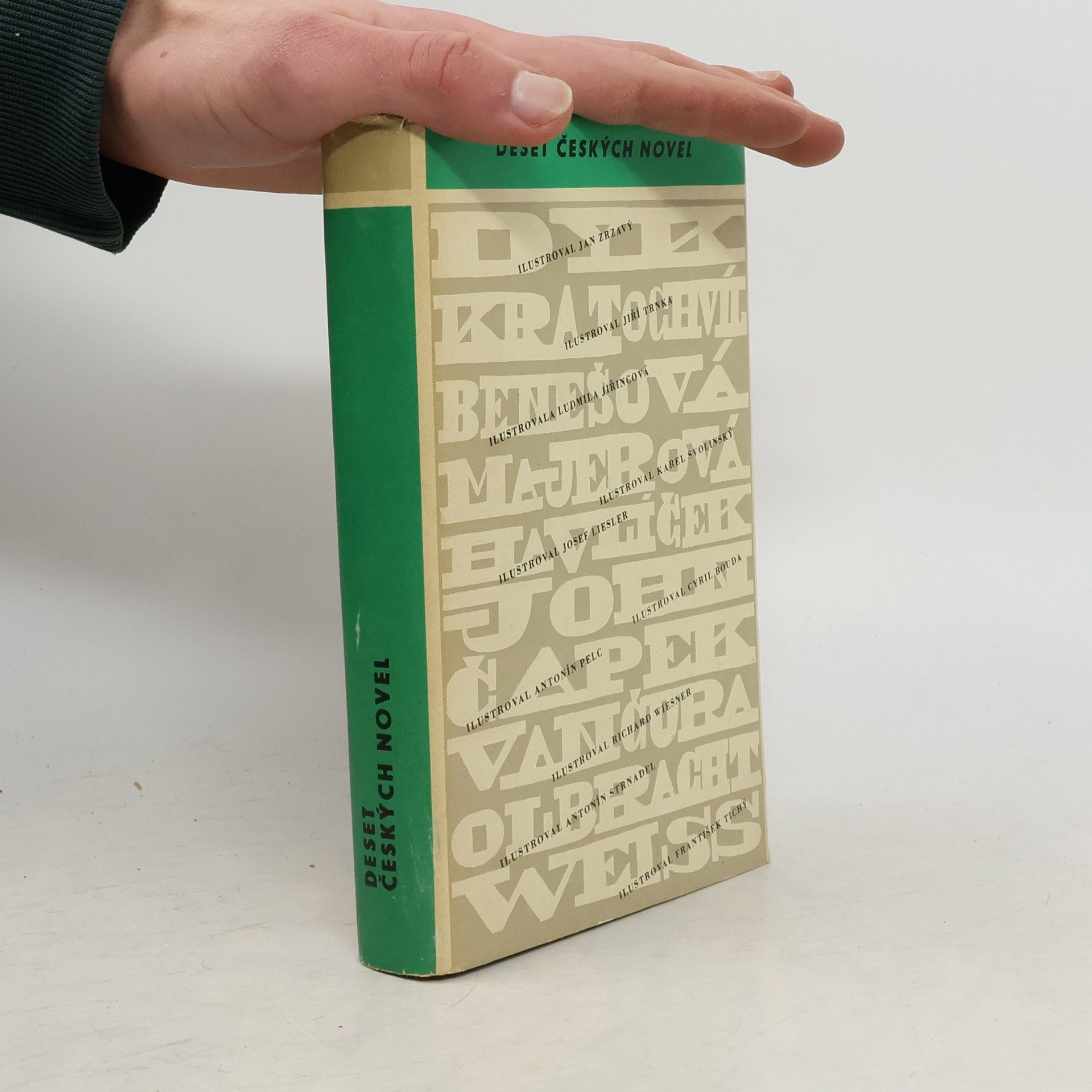 Kolektív autorov Deset českých novel