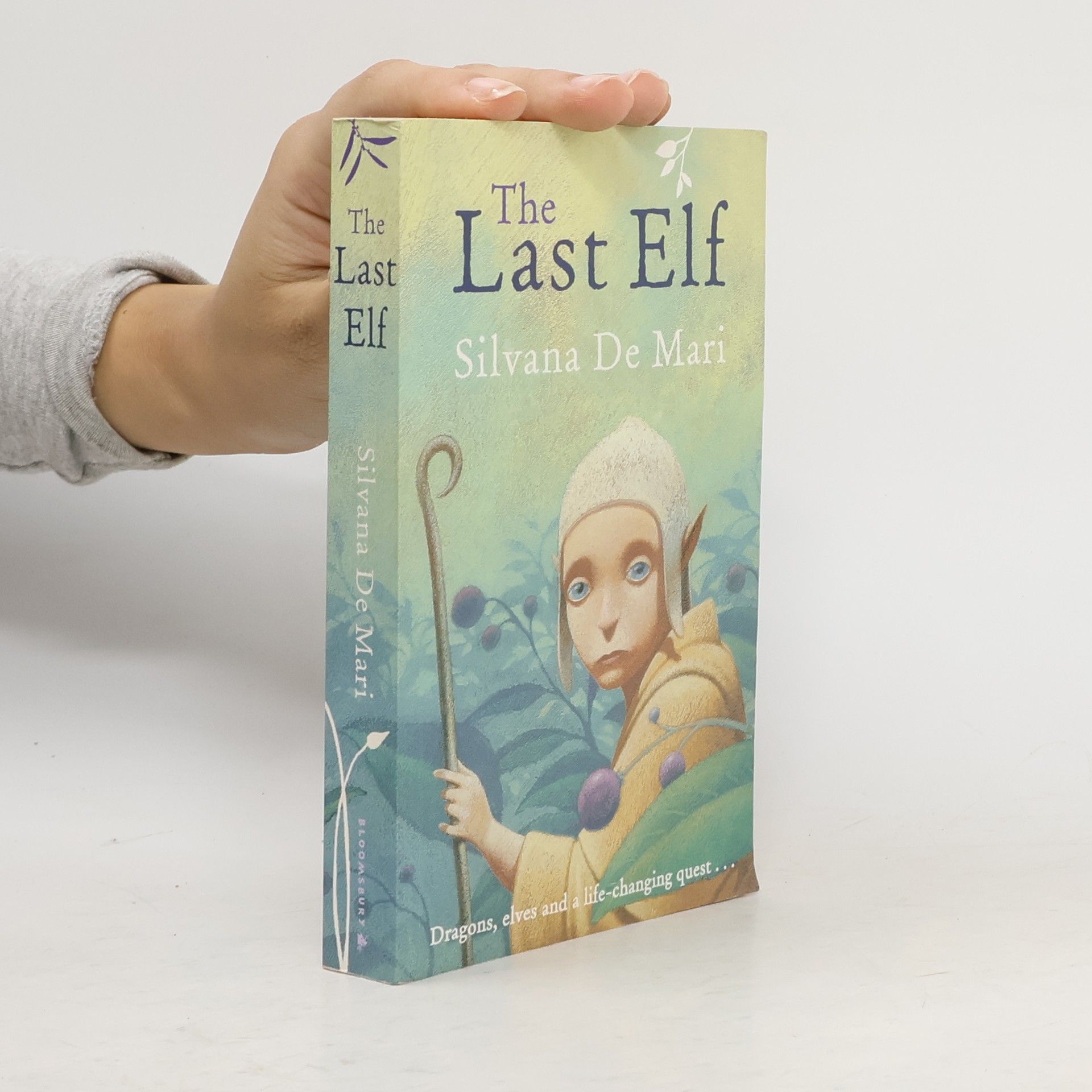 Silvana De Mari The Last Elf