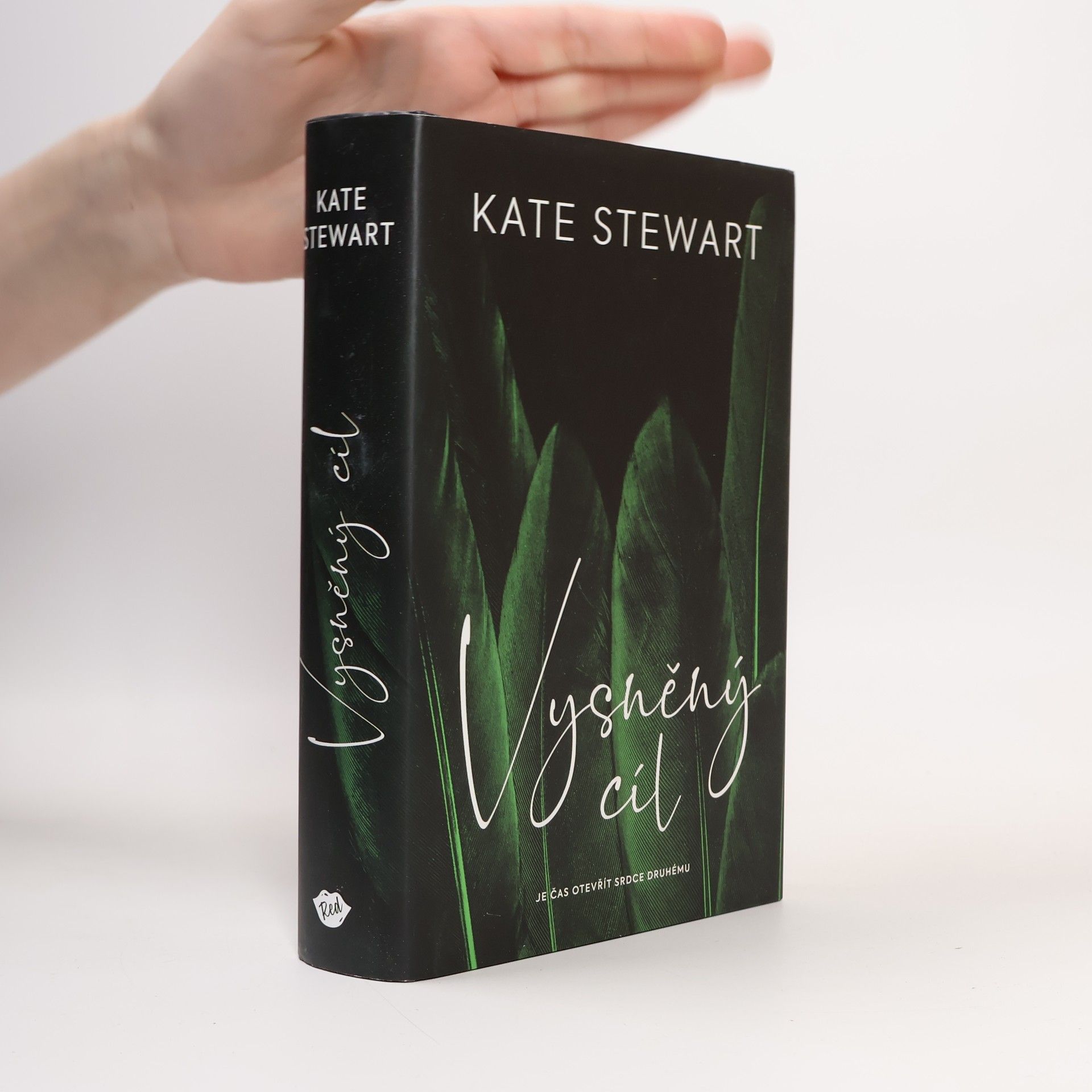 Kate Stewart Vysněný cíl. Kniha třetí