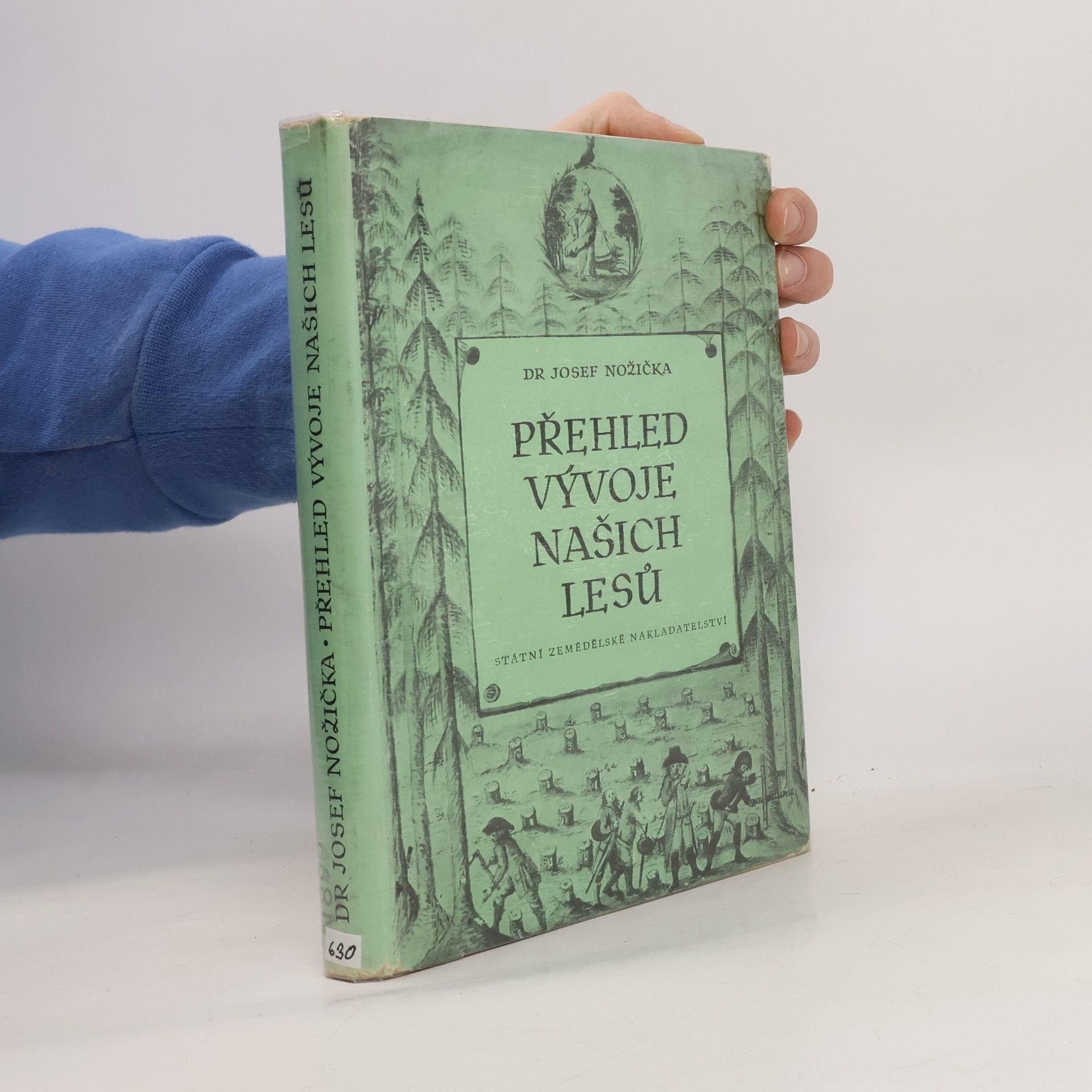 Přehled vývoje našich lesů