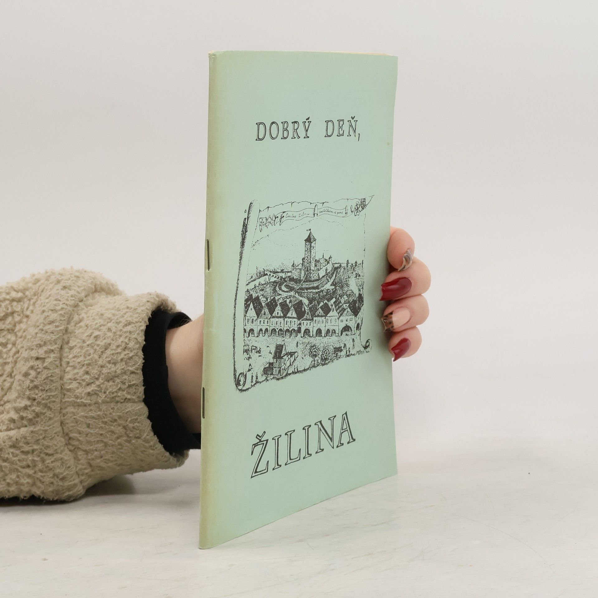 Dobrý deň, Žilina