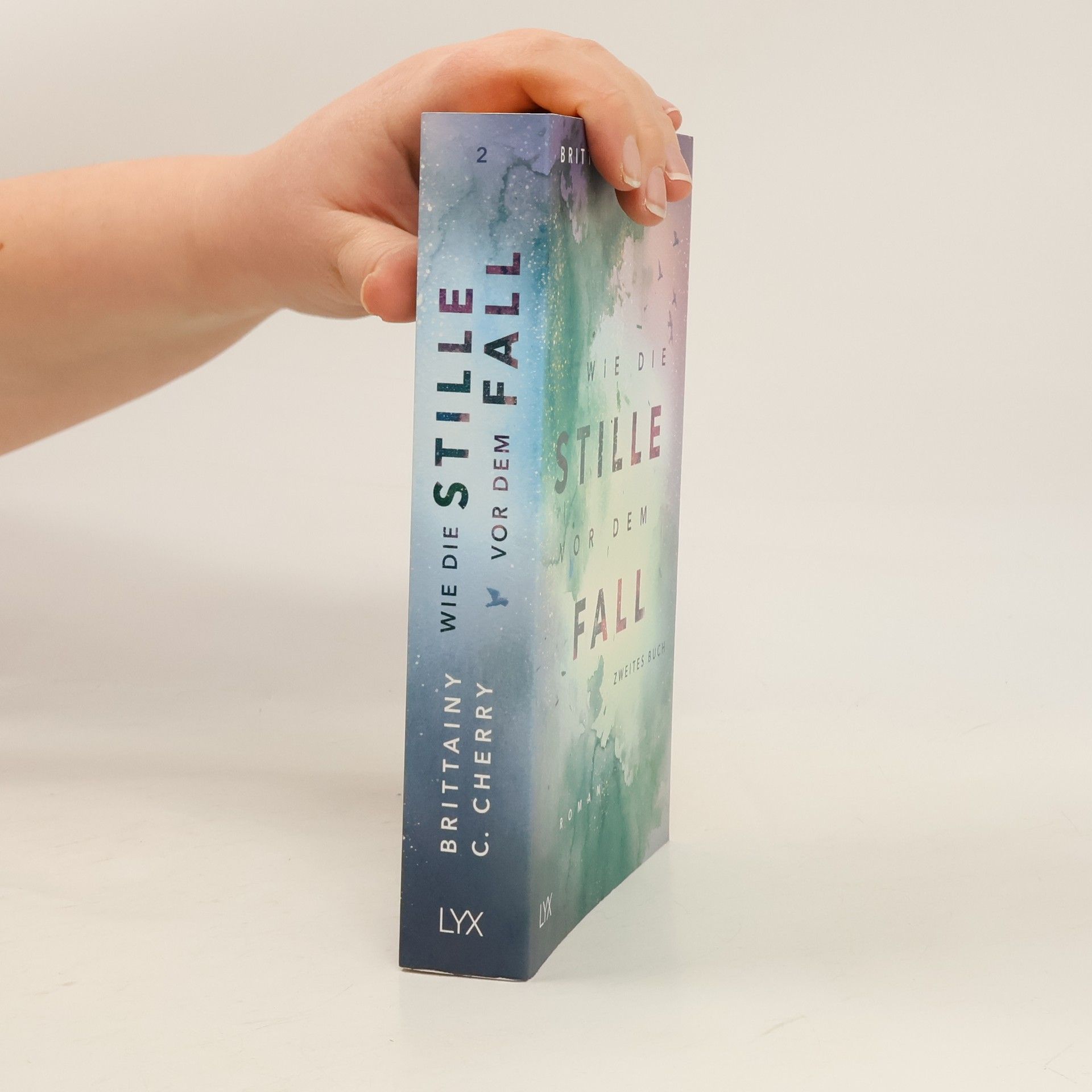 Brittainy C. Cherry Wie die Stille vor dem Fall 2