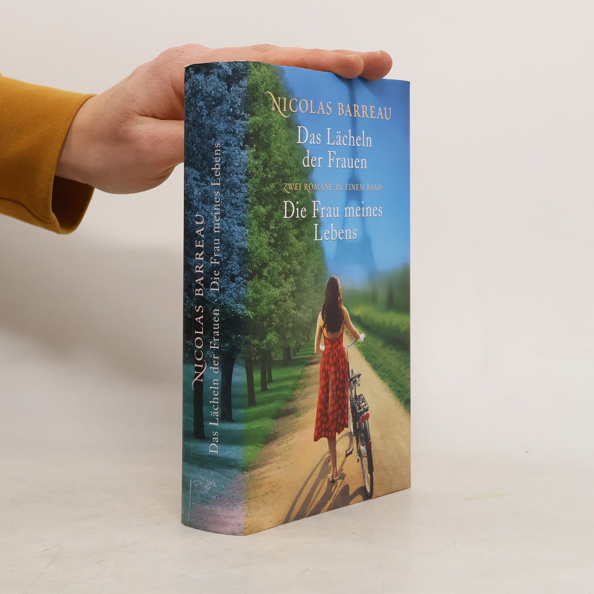 Nicolas Barreau Das Lächeln der Frauen. Die Frau meines Lebens