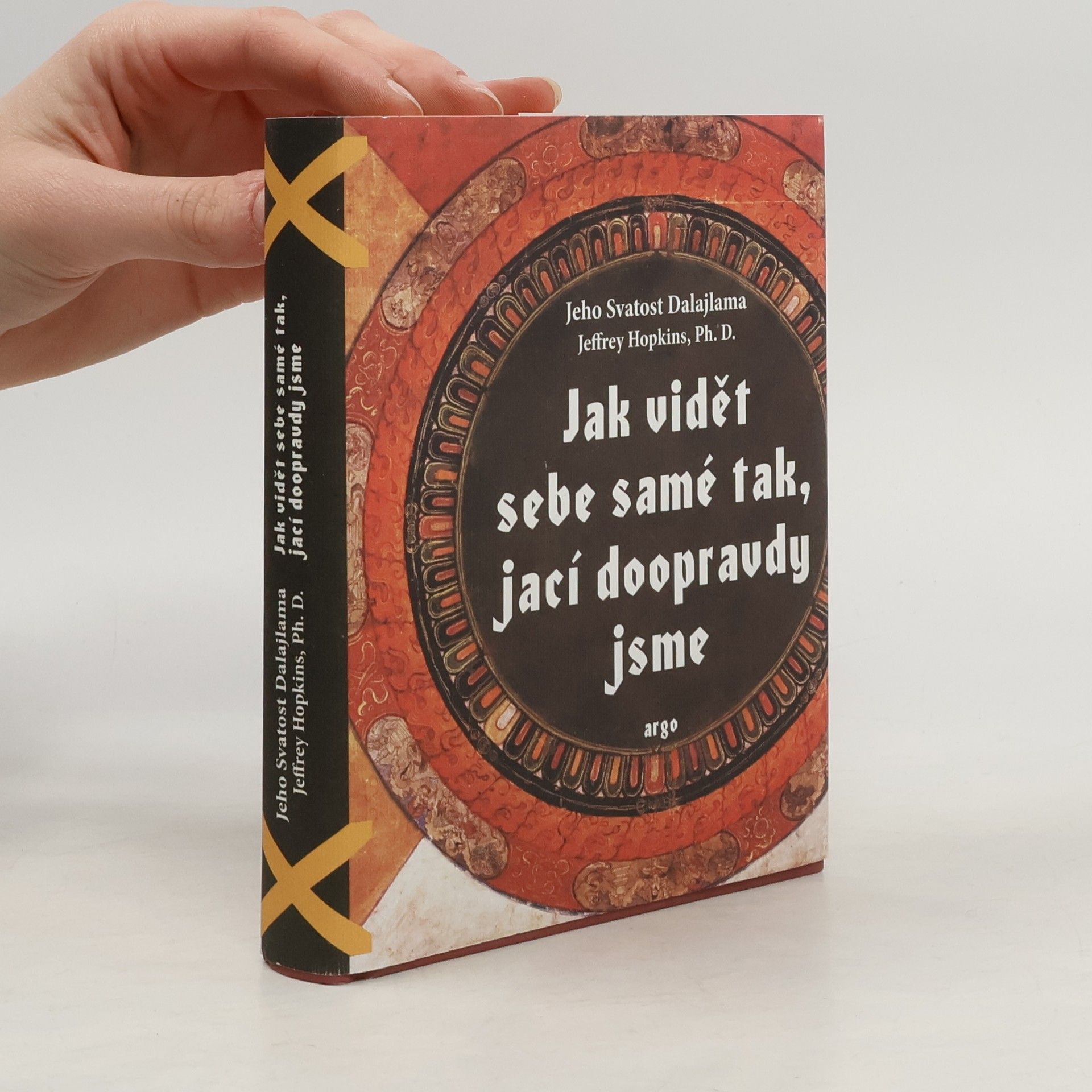 Tändzin Gjamccho Jak vidět sebe samé tak, jací doopravdy jsme