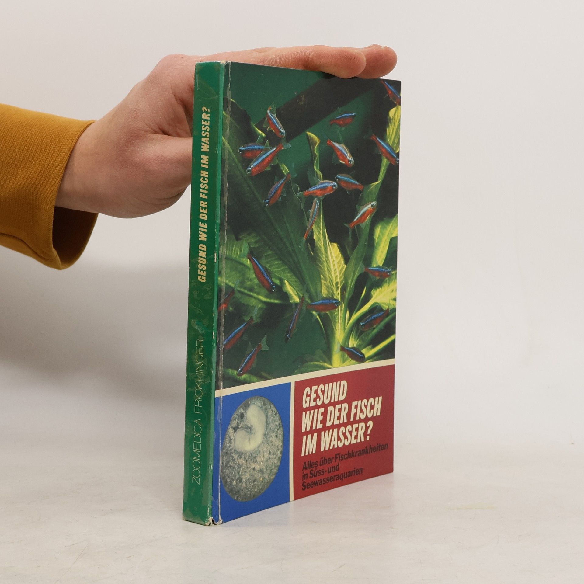 Autorenkollektiv Gesund wie der Fisch im Wasser?