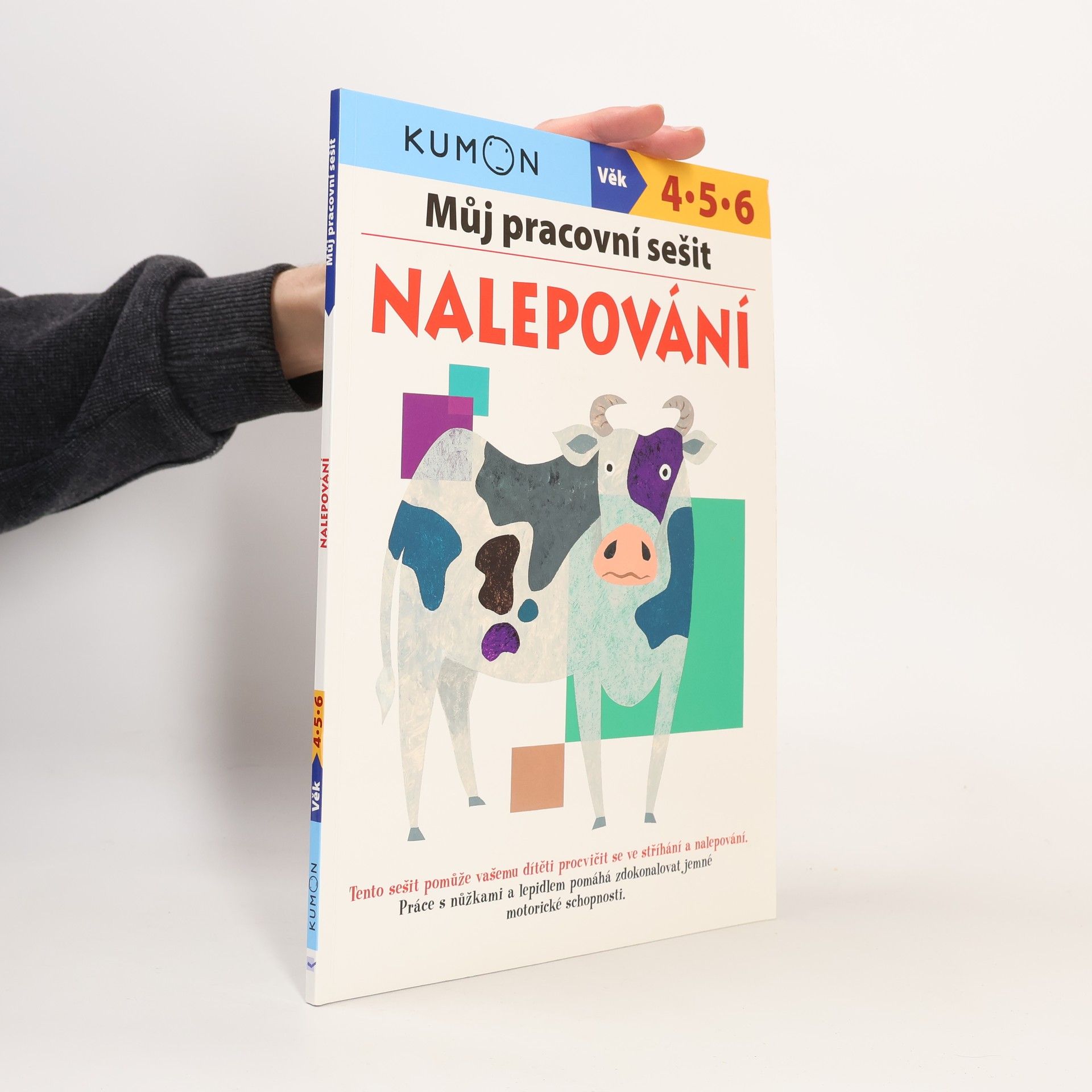 Můj pracovní sešit. Nalepování