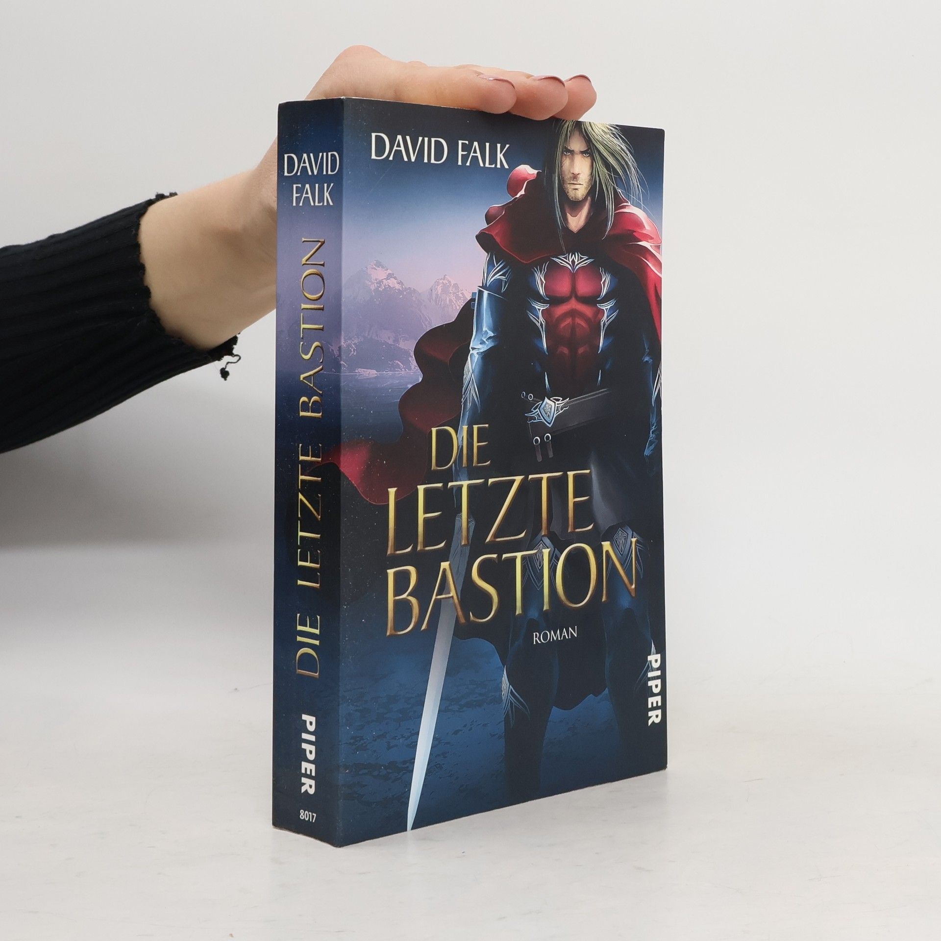 David Falk Die letzte Bastion