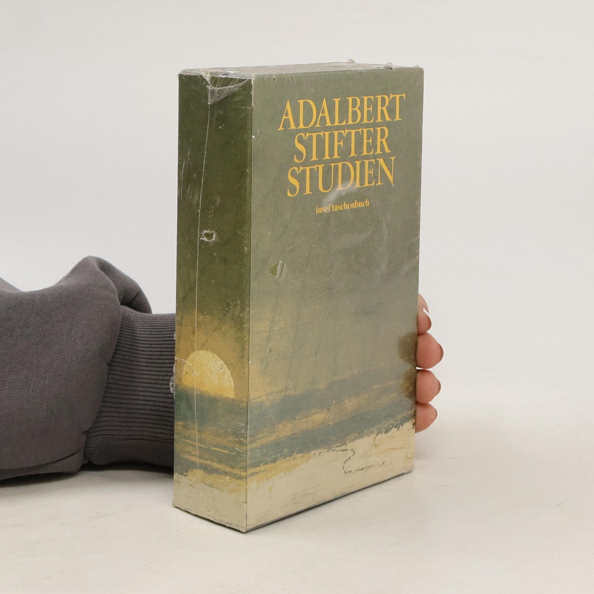 Collectif d'auteurs Adalbert Stifter Studien