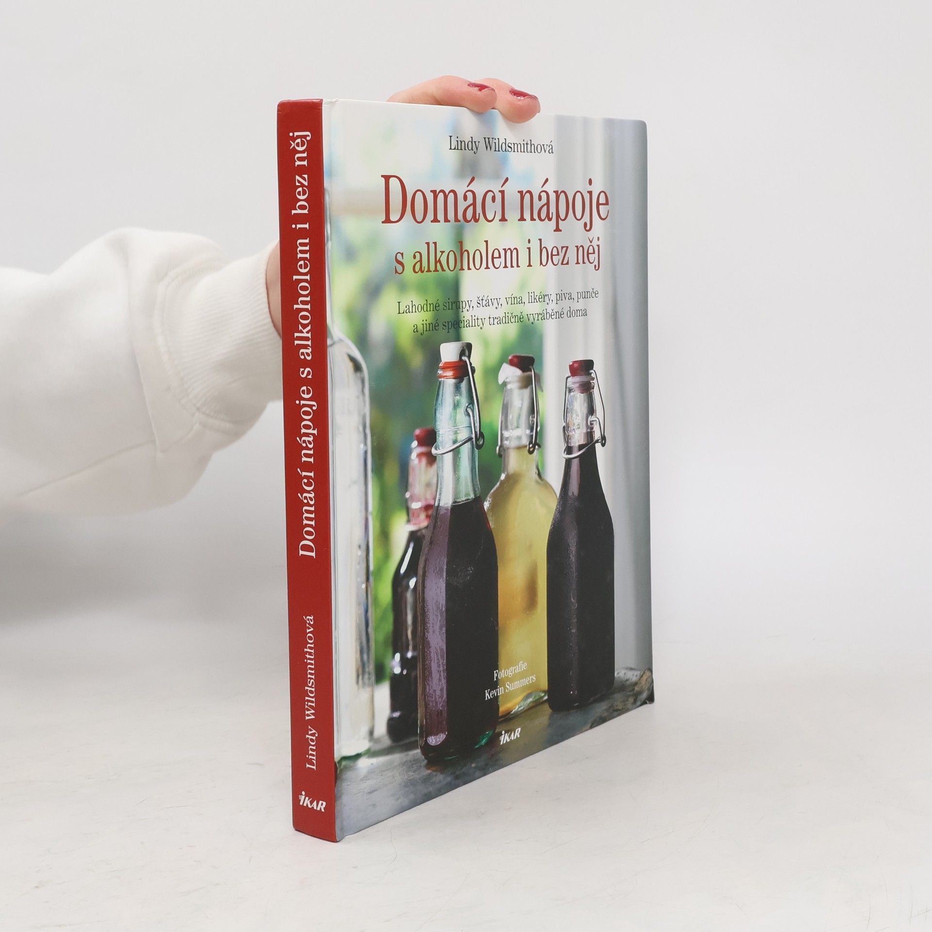 Lindy Wildsmith Domácí nápoje s alkoholem i bez něj