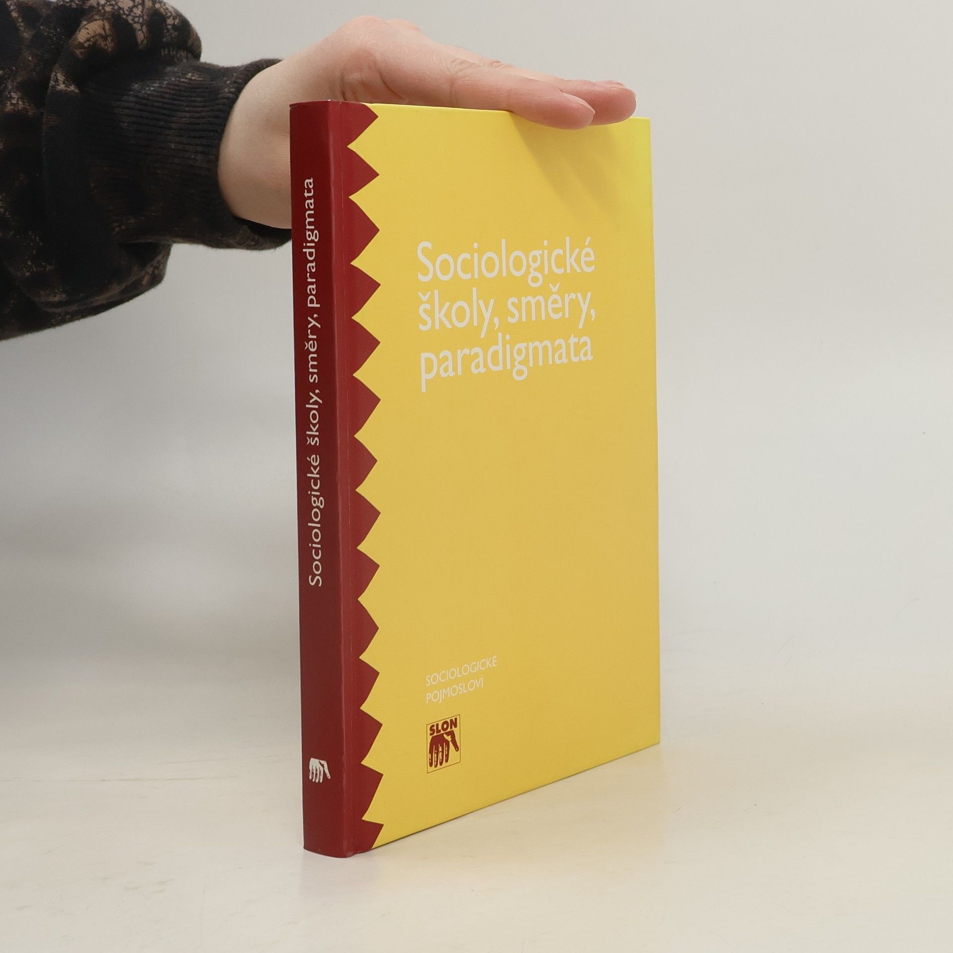 Autorenkollektiv Sociologické školy, směry, paradigmata