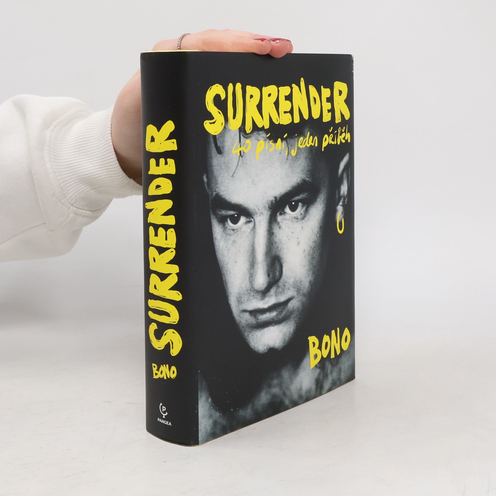 Bono Surrender : 40 písní, jeden příběh