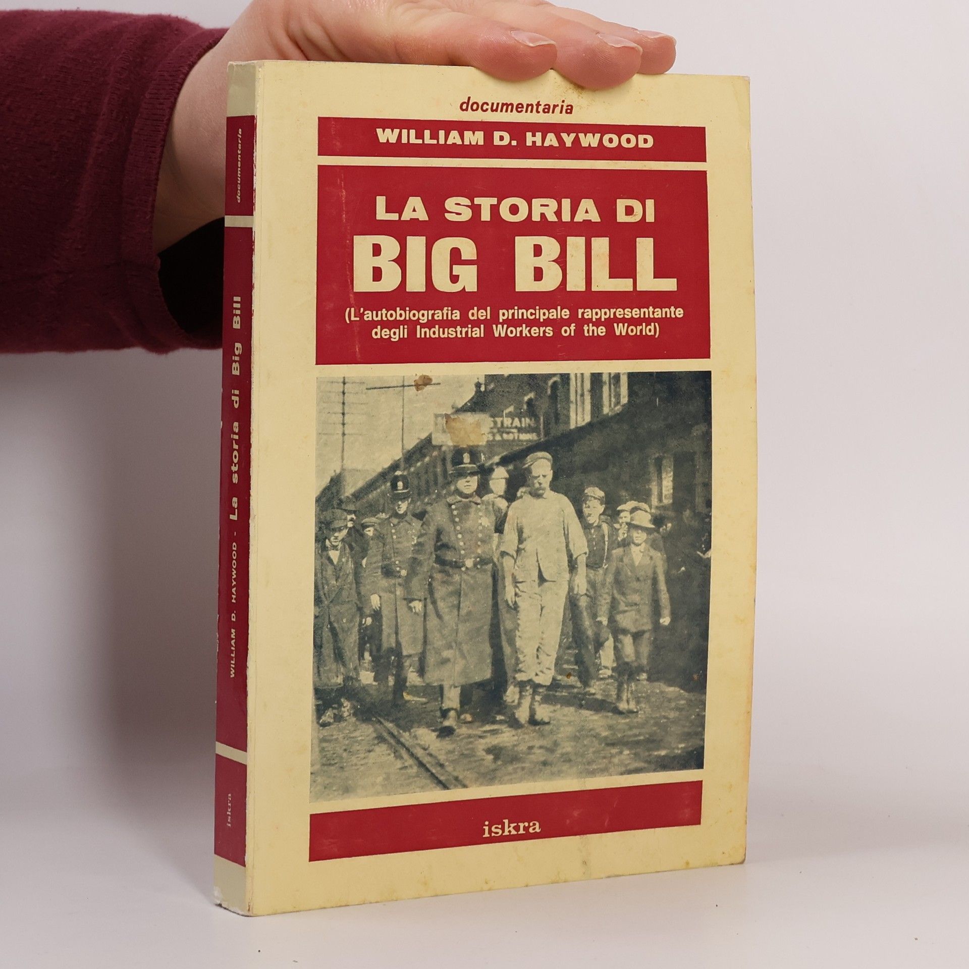 William D Haywood La storia di Big Bill