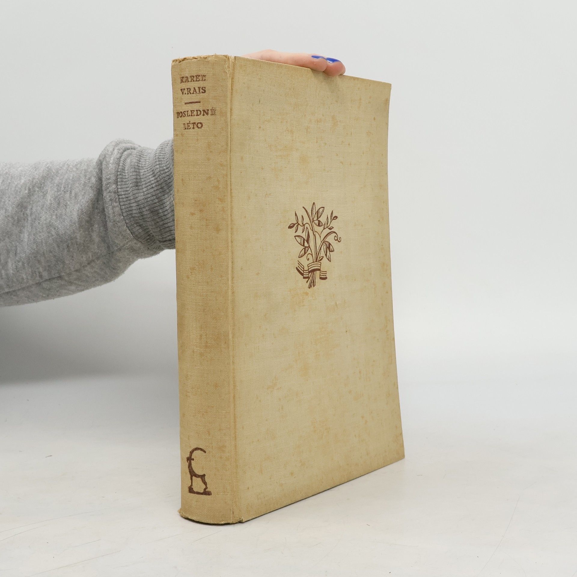 Karel Václav Rais Poslední léto. Obrazy z venkovského života