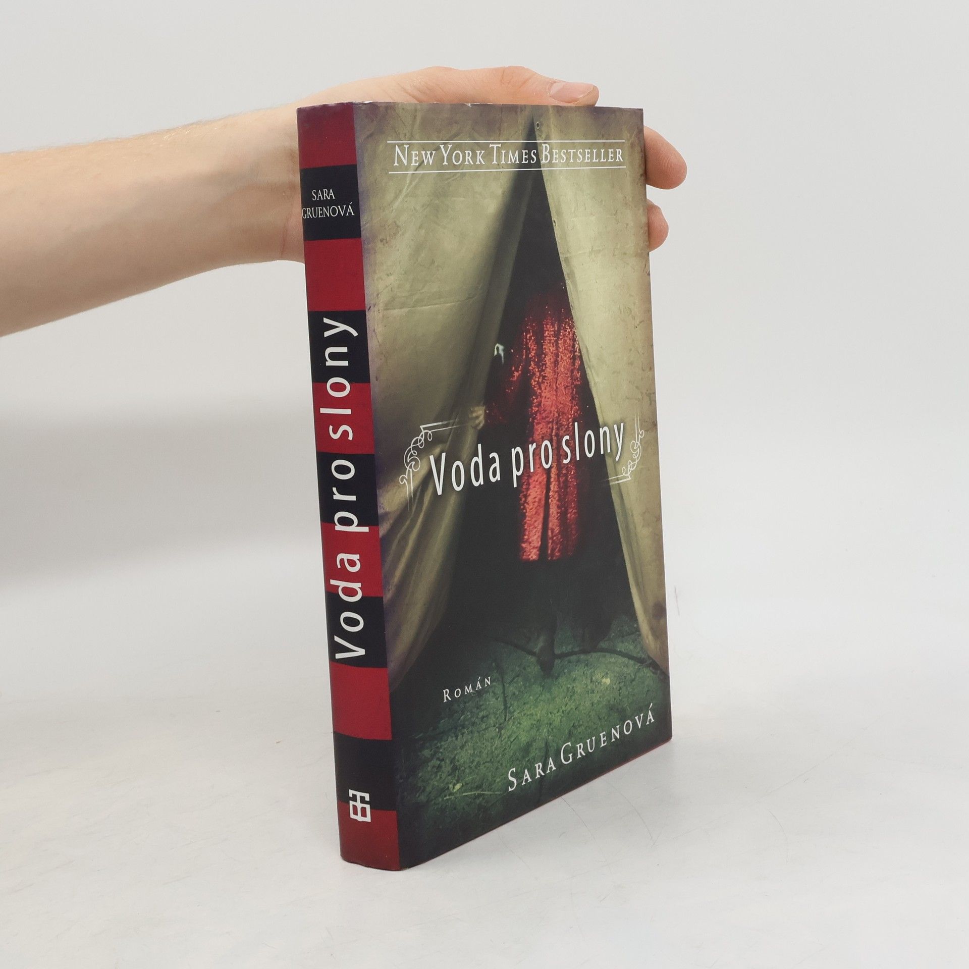 Sara Gruen Voda pro slony