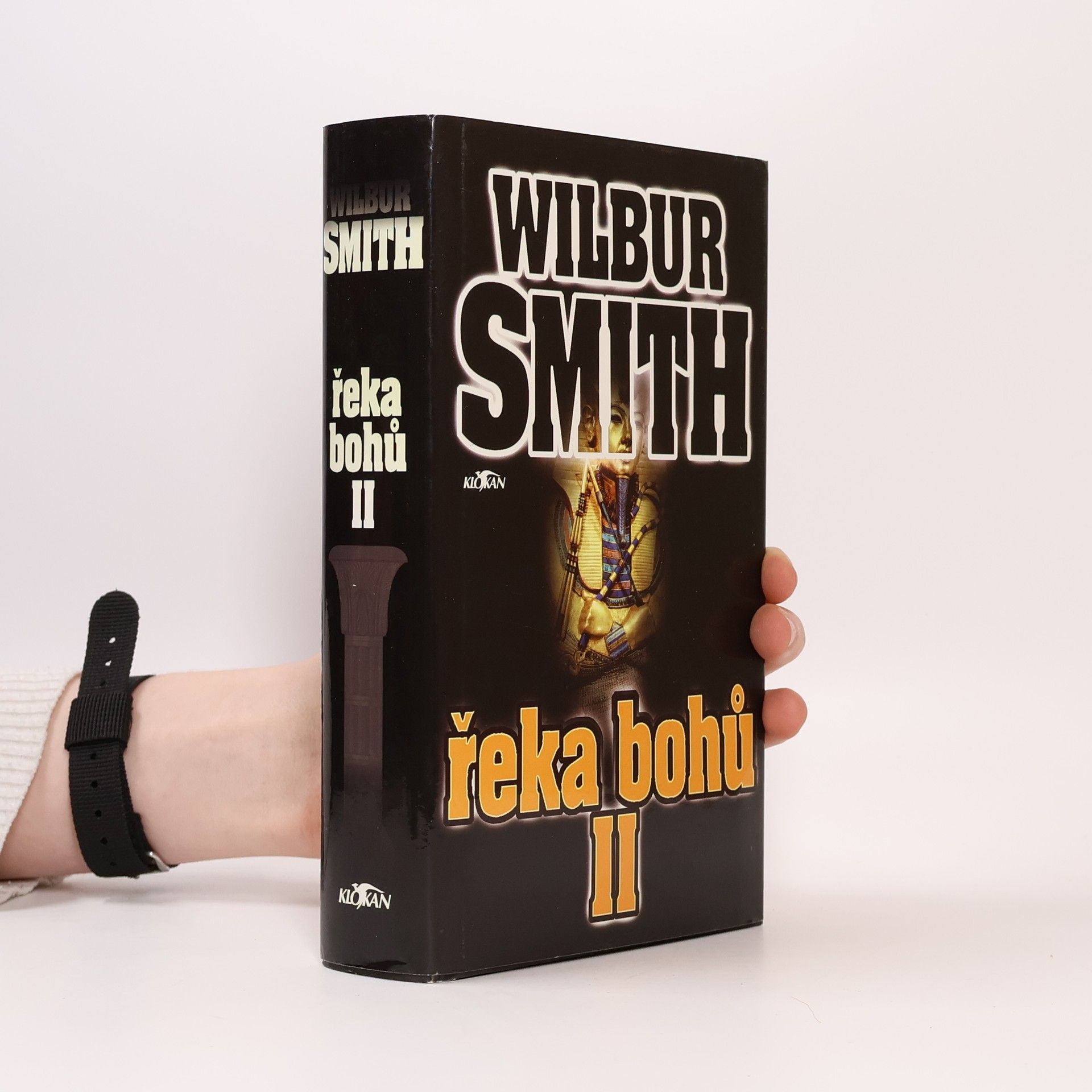 Wilbur Smith Řeka bohů II