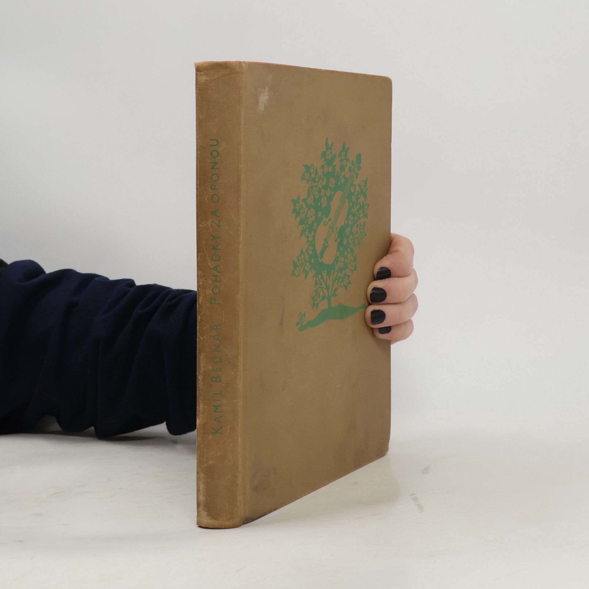 Kamil Bednář Pohádky za oponou