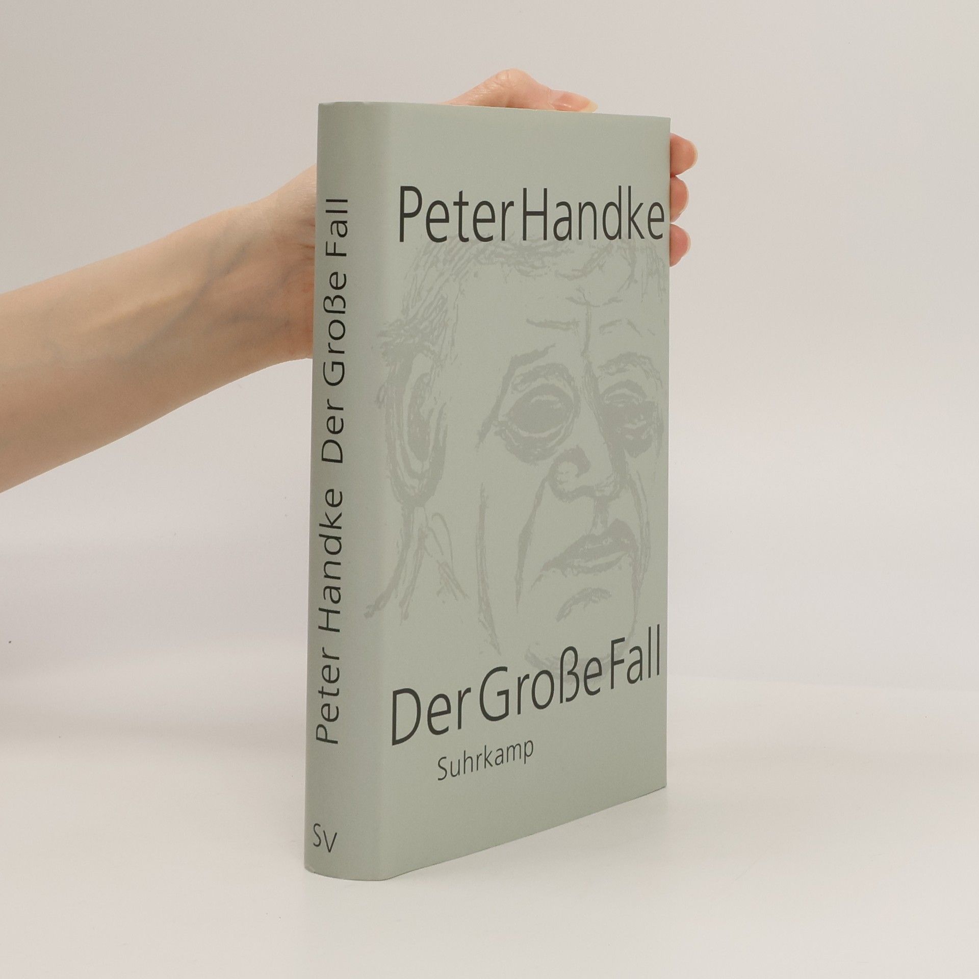 Peter Handke Der Grosse Fall