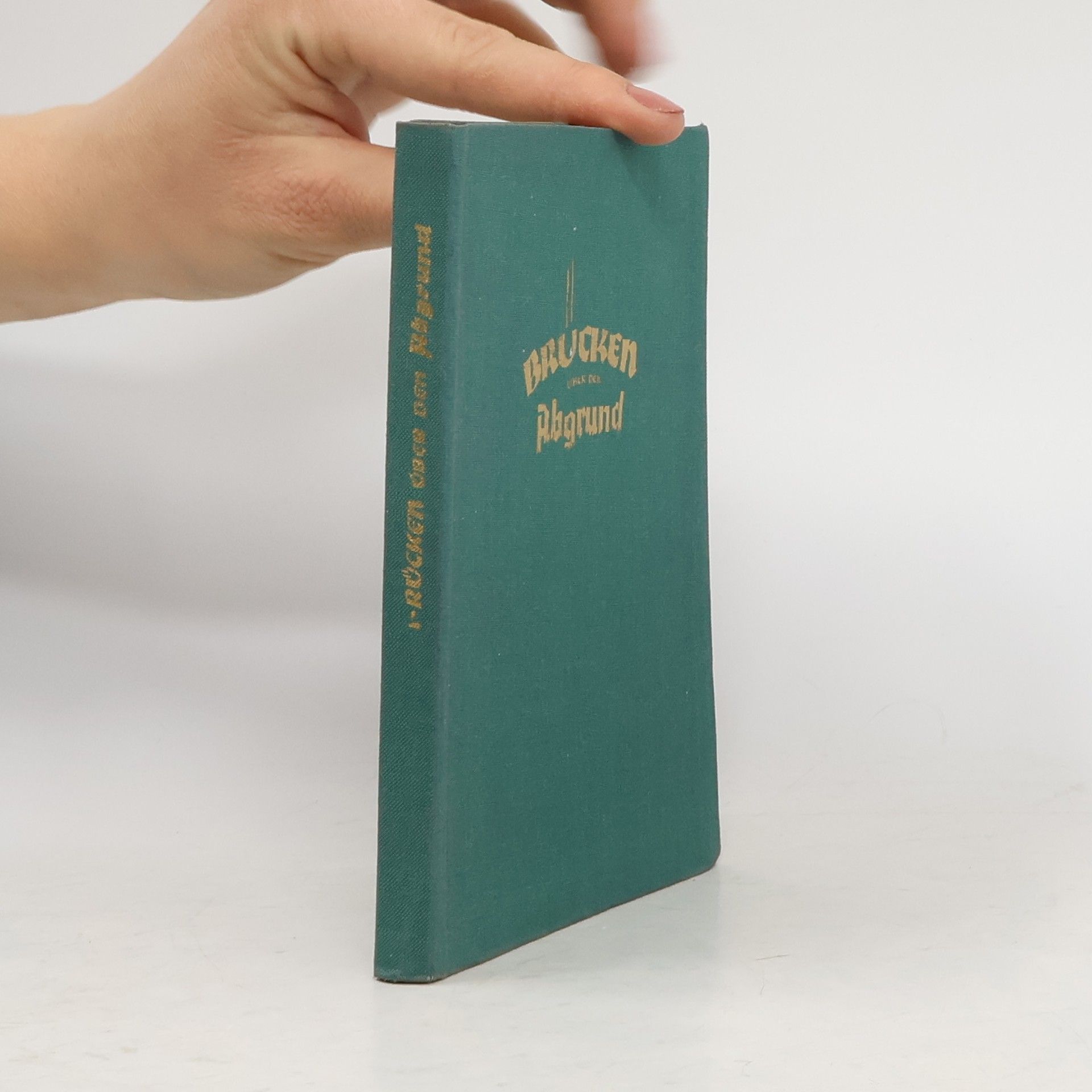 Hanna Merian Brücken über den Abgrund