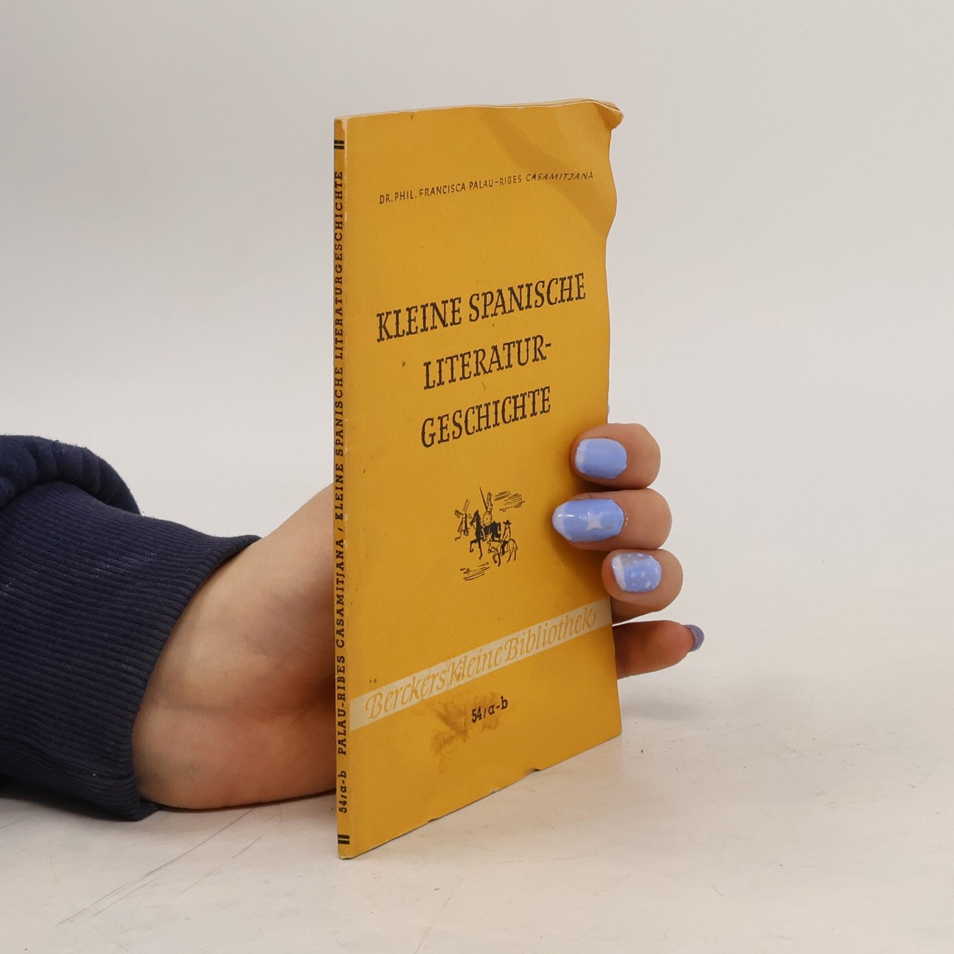 Kleine spanische literaturgeschichte