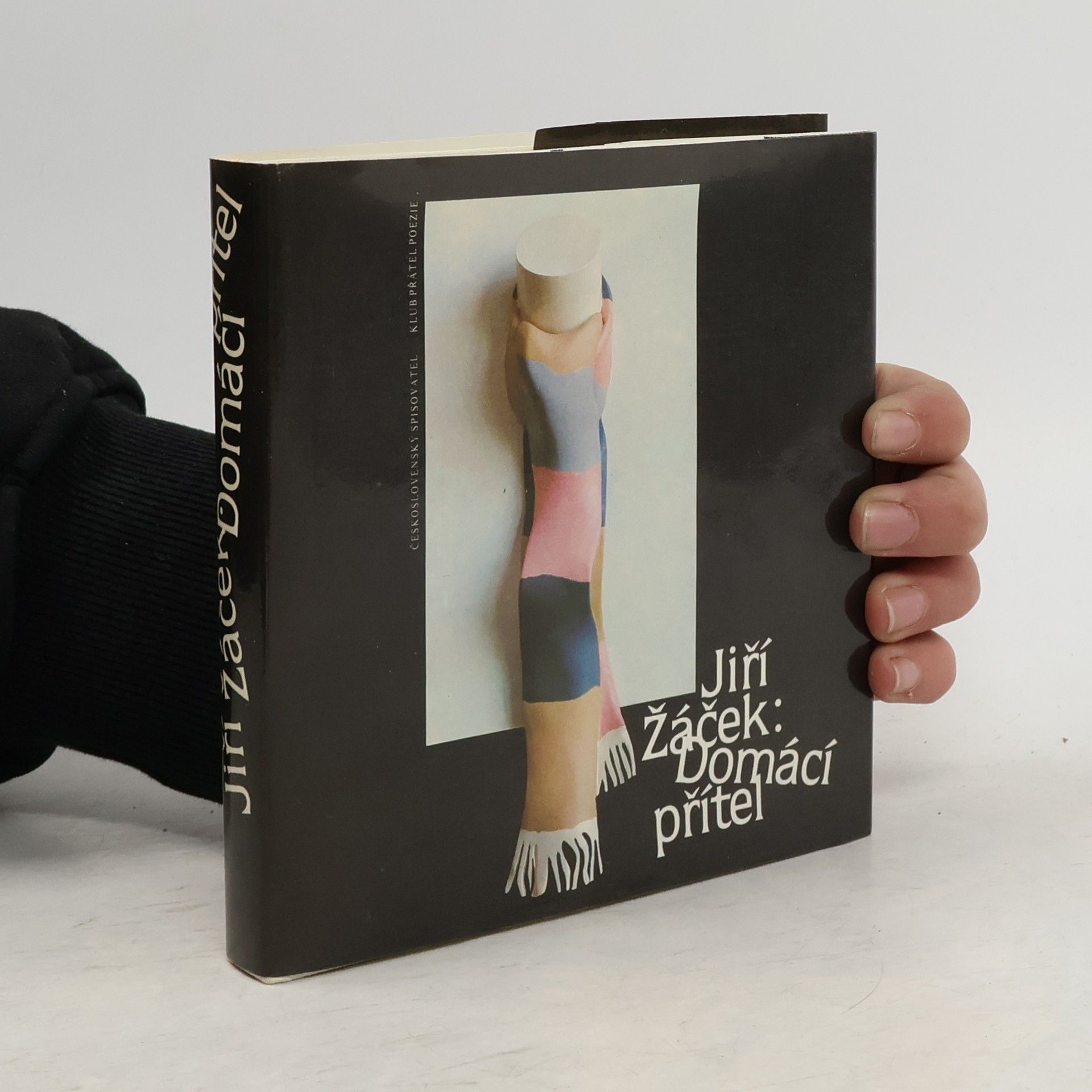 Jiří Žáček Domácí přítel