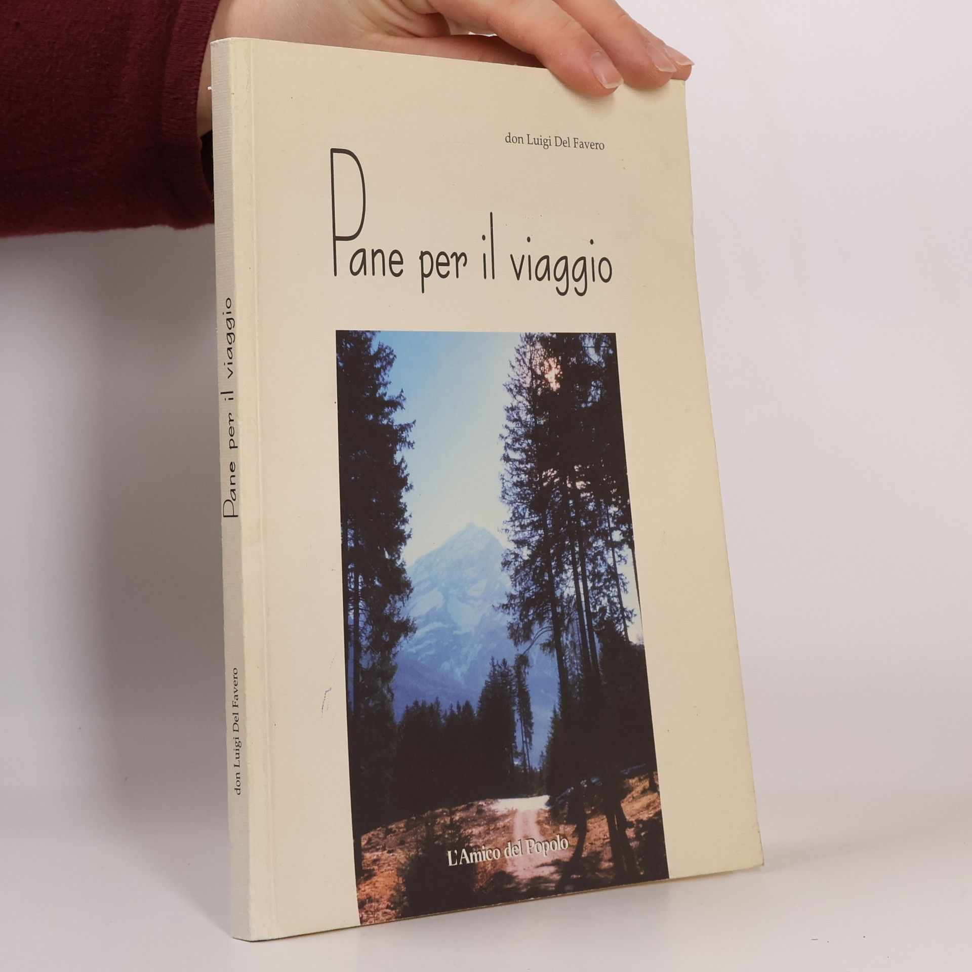 Luigi del Favero Pane per il viaggio