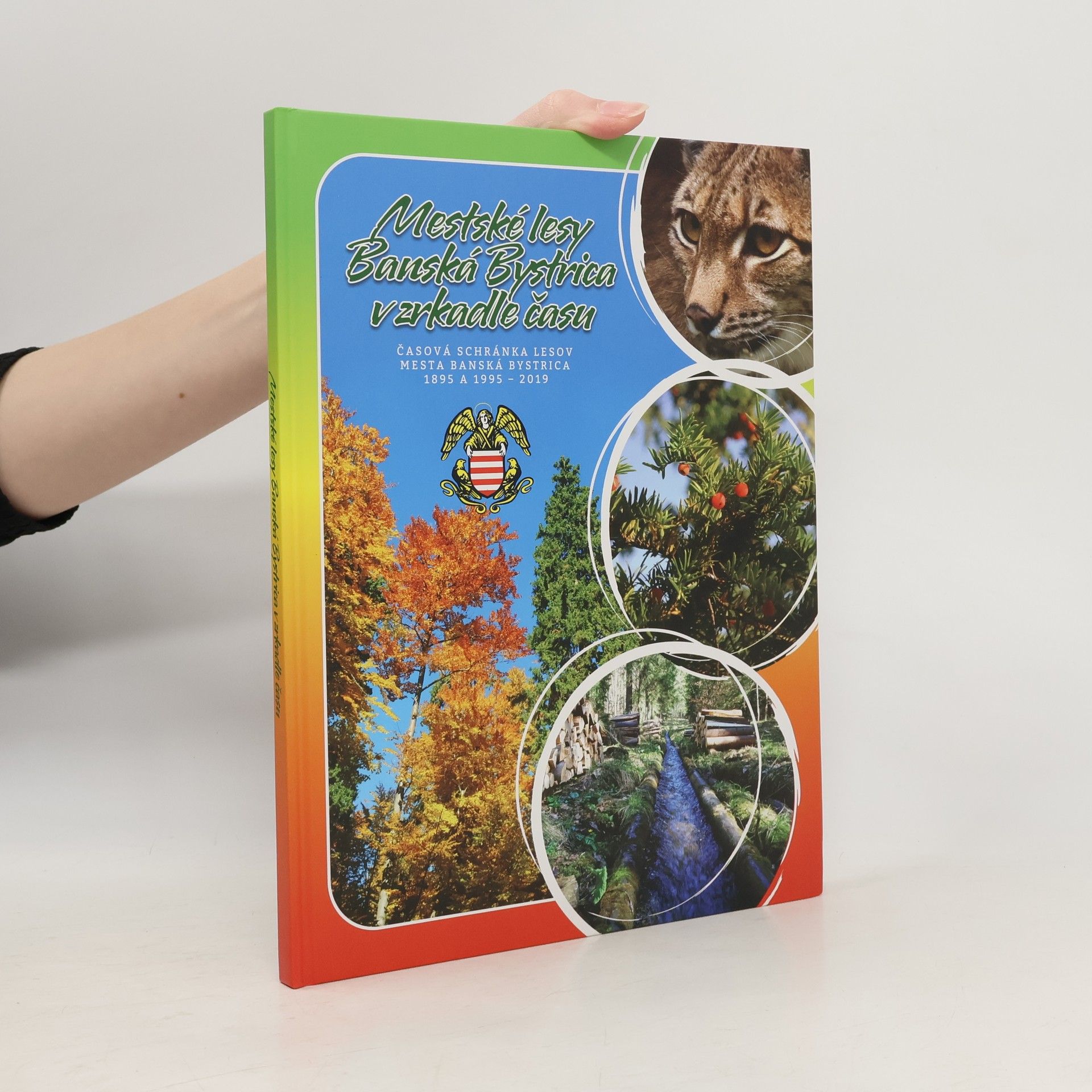 Autorenkollektiv Mestské lesy Banská Bystrica vzrkadle času