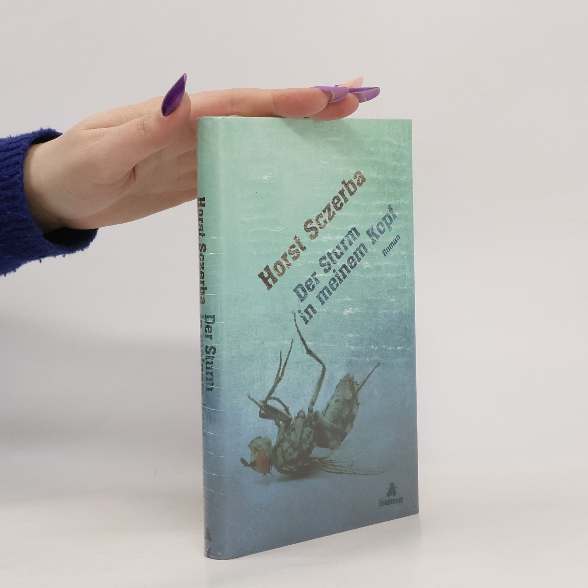 Horst Johann Sczerba Der Sturm in meinem Kopf