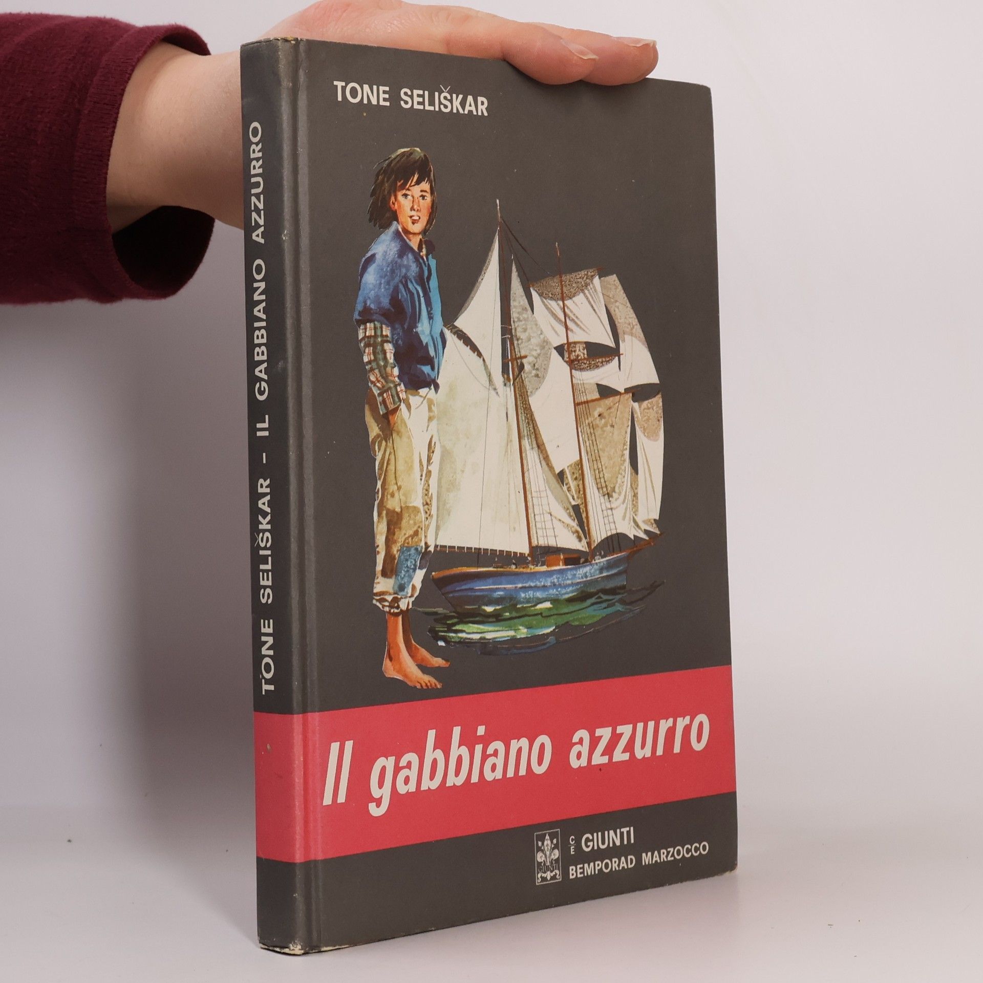 Il gabbiano azzurro