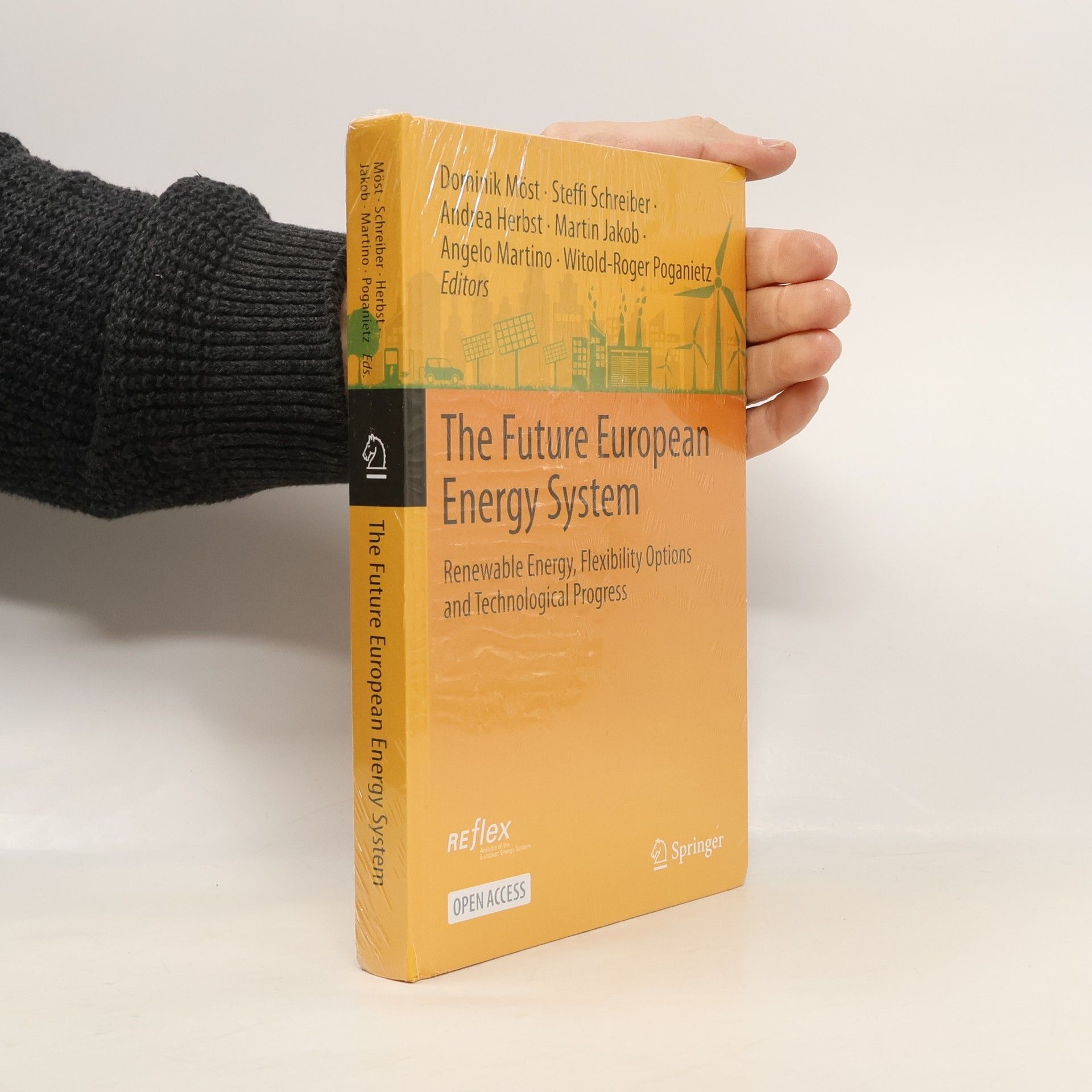 Dominik Möst The Future European Energy System