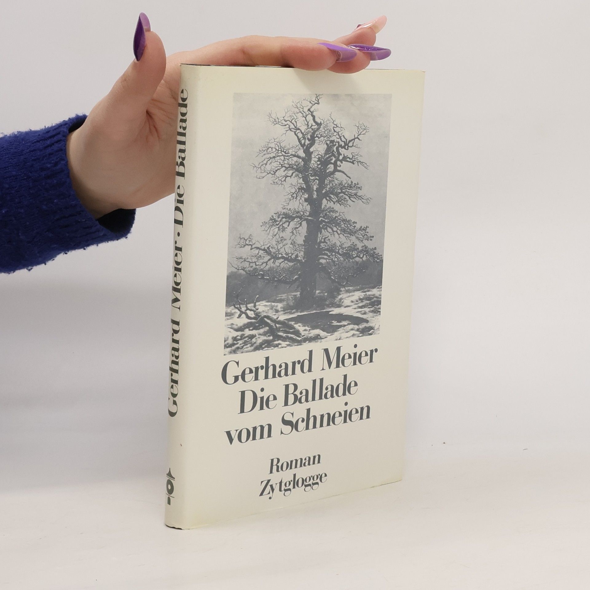 Gerhard Meier Die Ballade vom Schneien