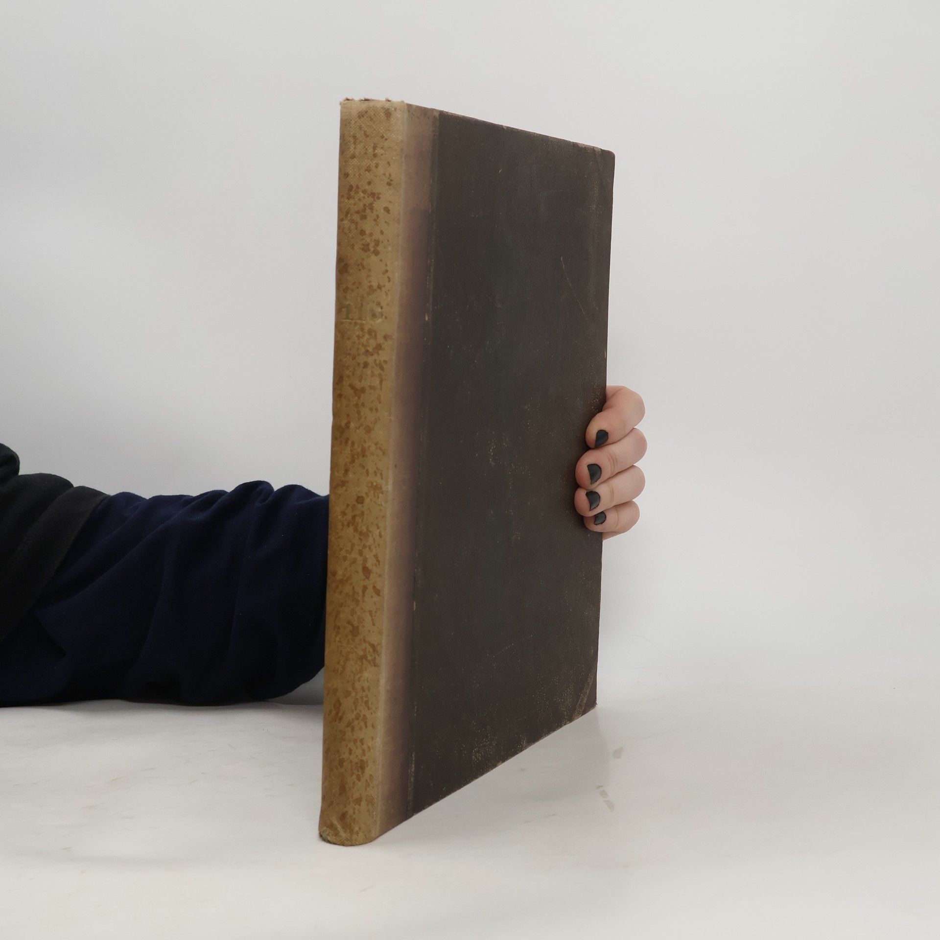 Autorenkollektiv Fliegende Blätter