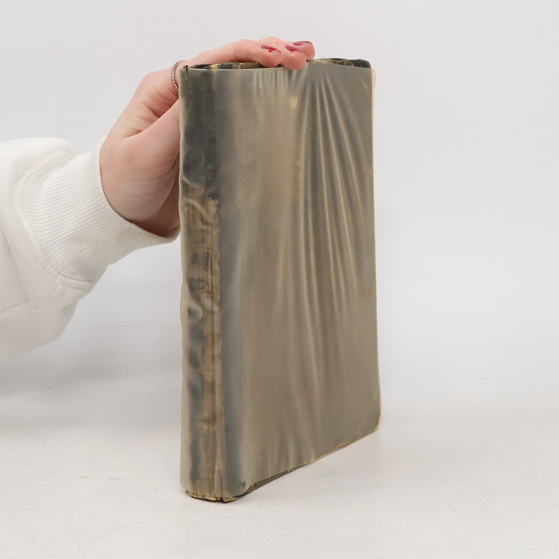 Louis Rousselet Krotitel hadův