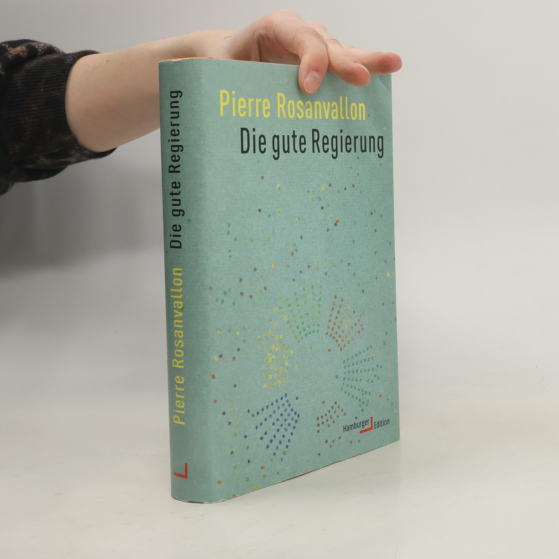 Pierre Rosanvallon Die gute Regierung