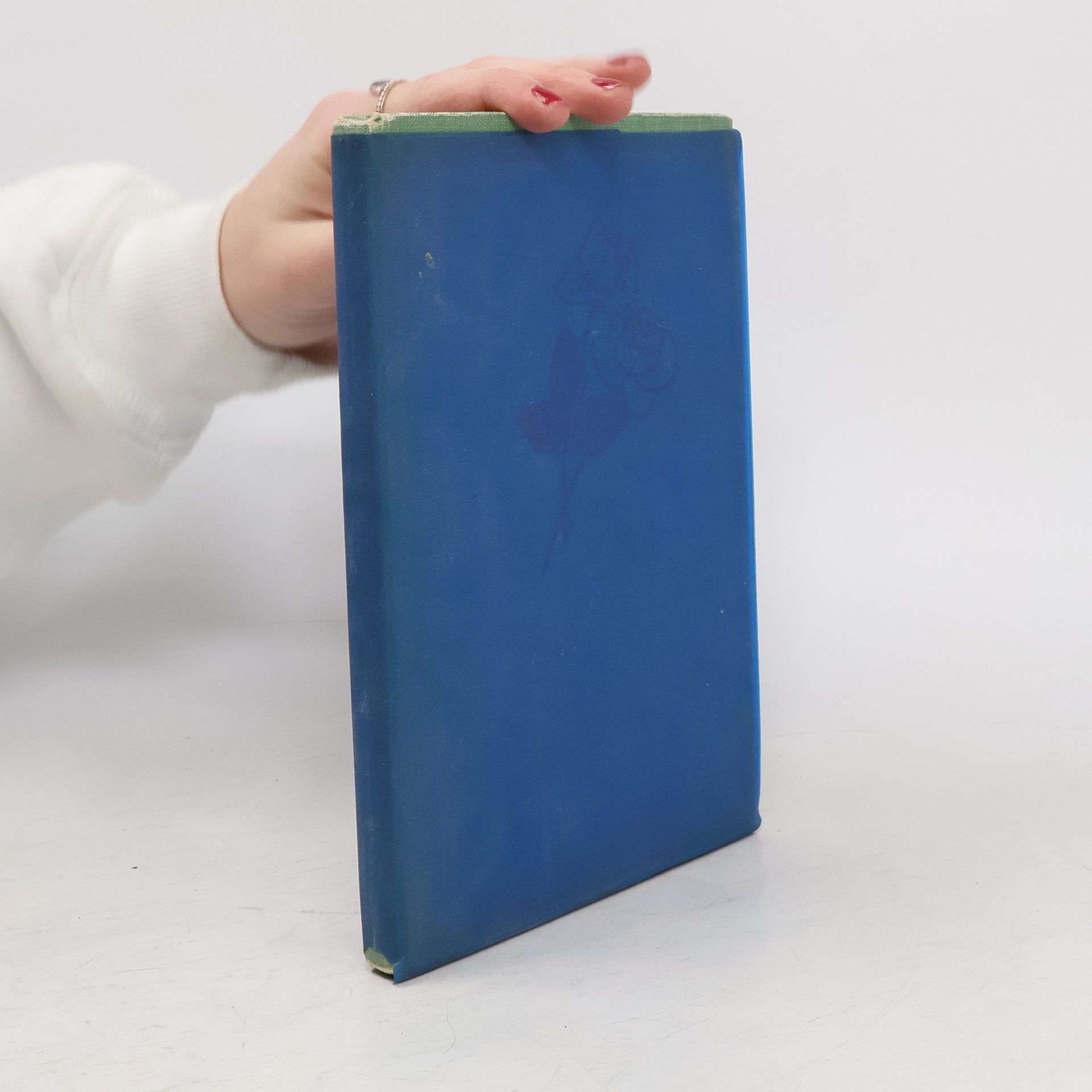 Amálie Kutinová Gabra a Málinka 2. Ve městě