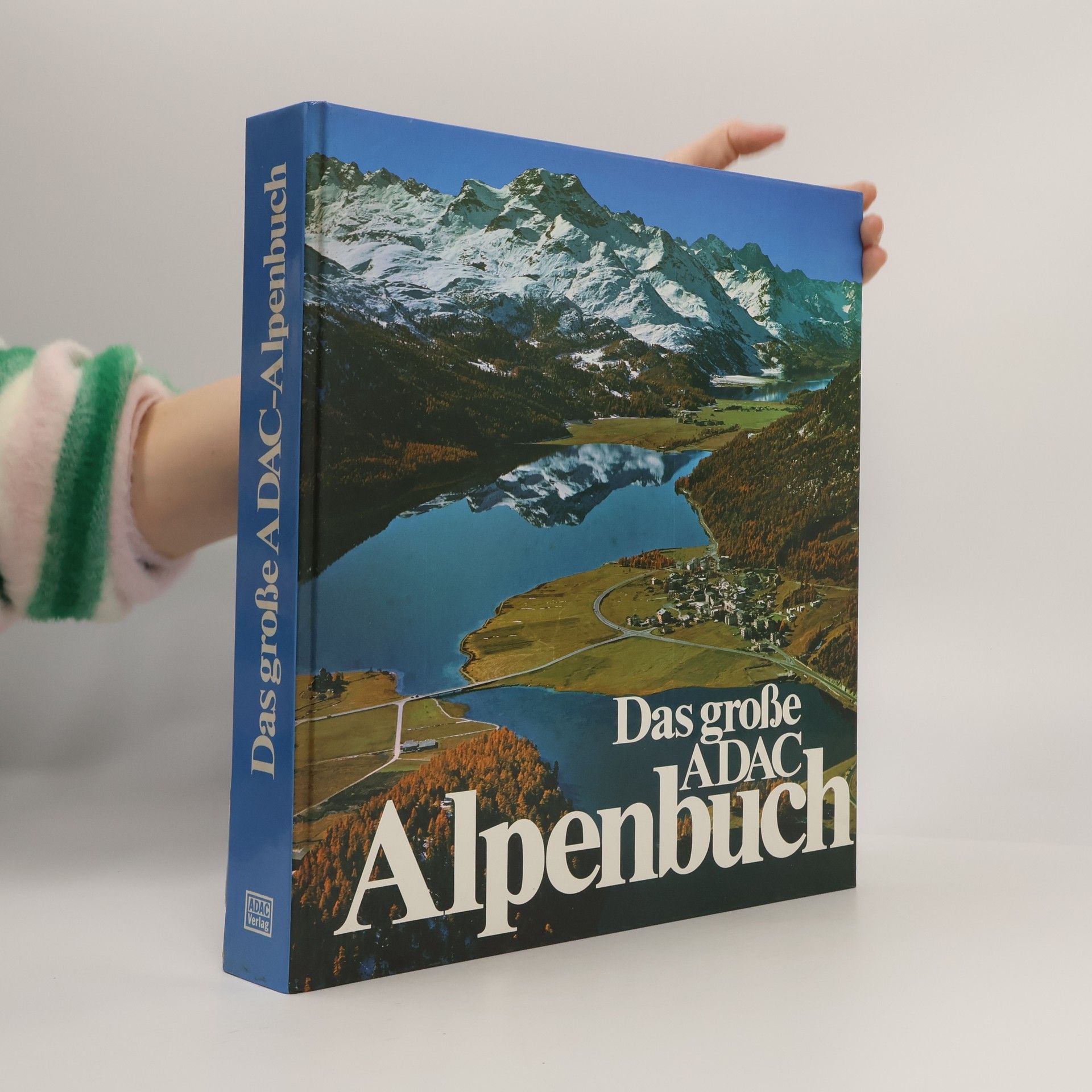 Kolektiv autorů Das grosse ADAC-Alpenbuch