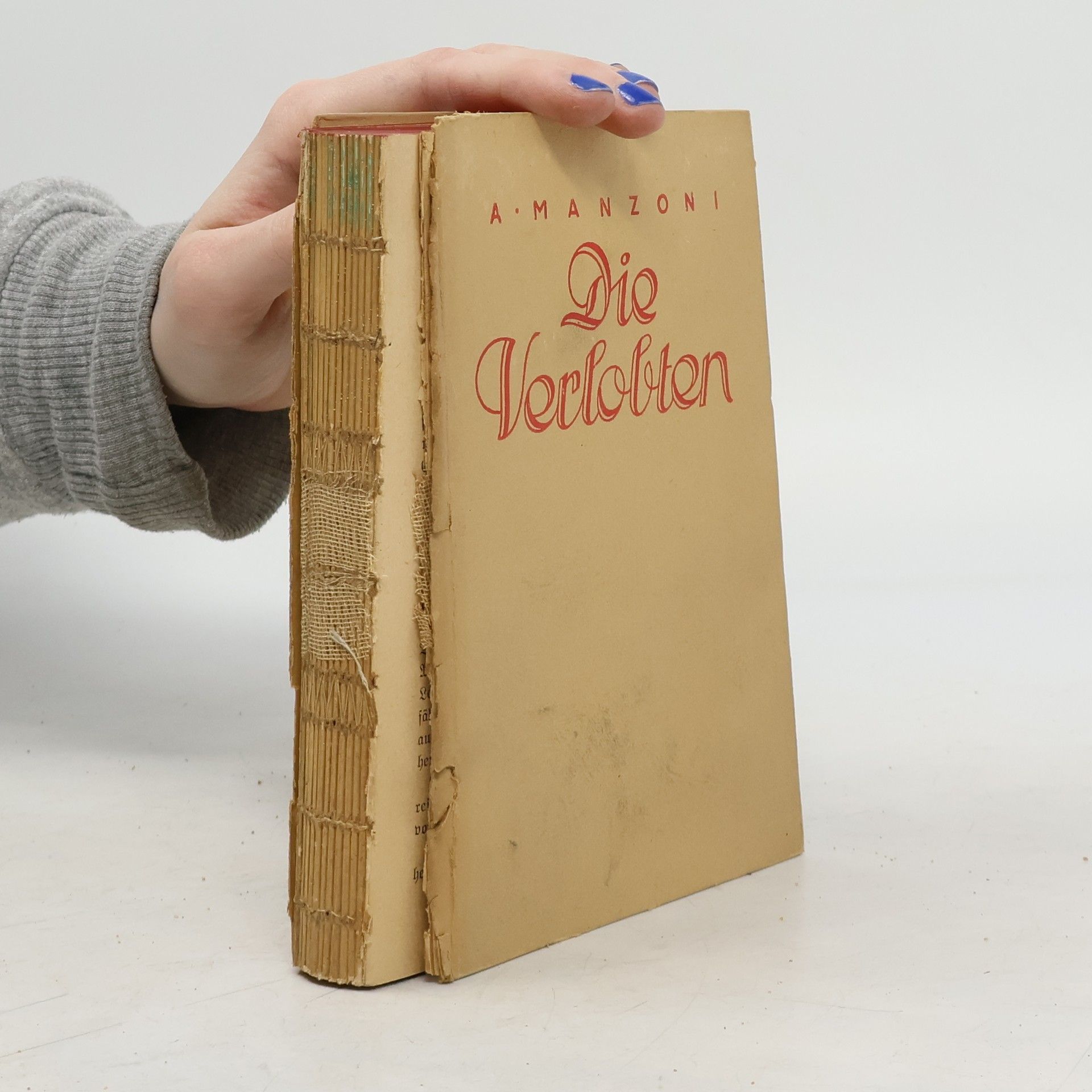 Alexander Manzoni Die Verlobten
