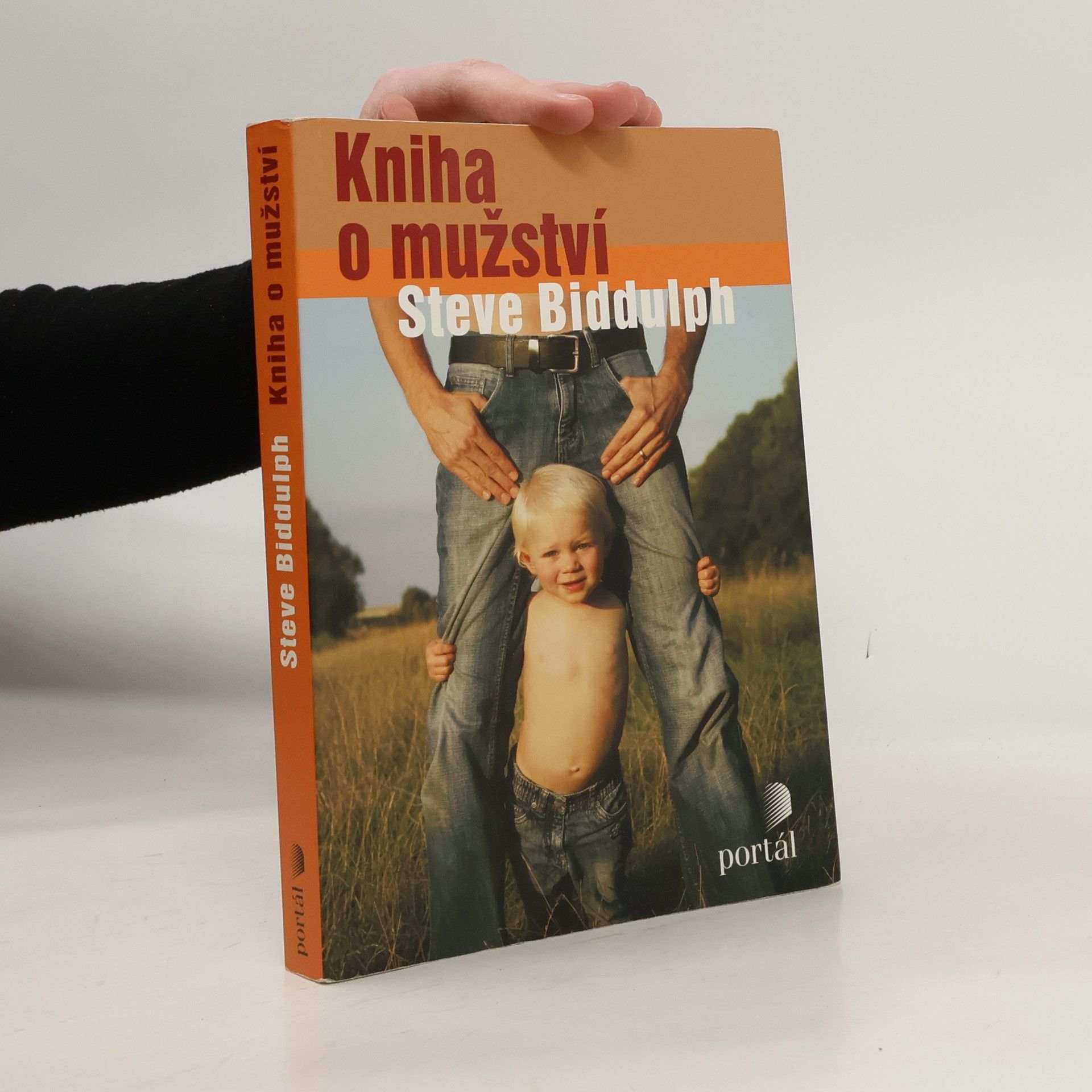 Steve Biddulph Kniha o mužství