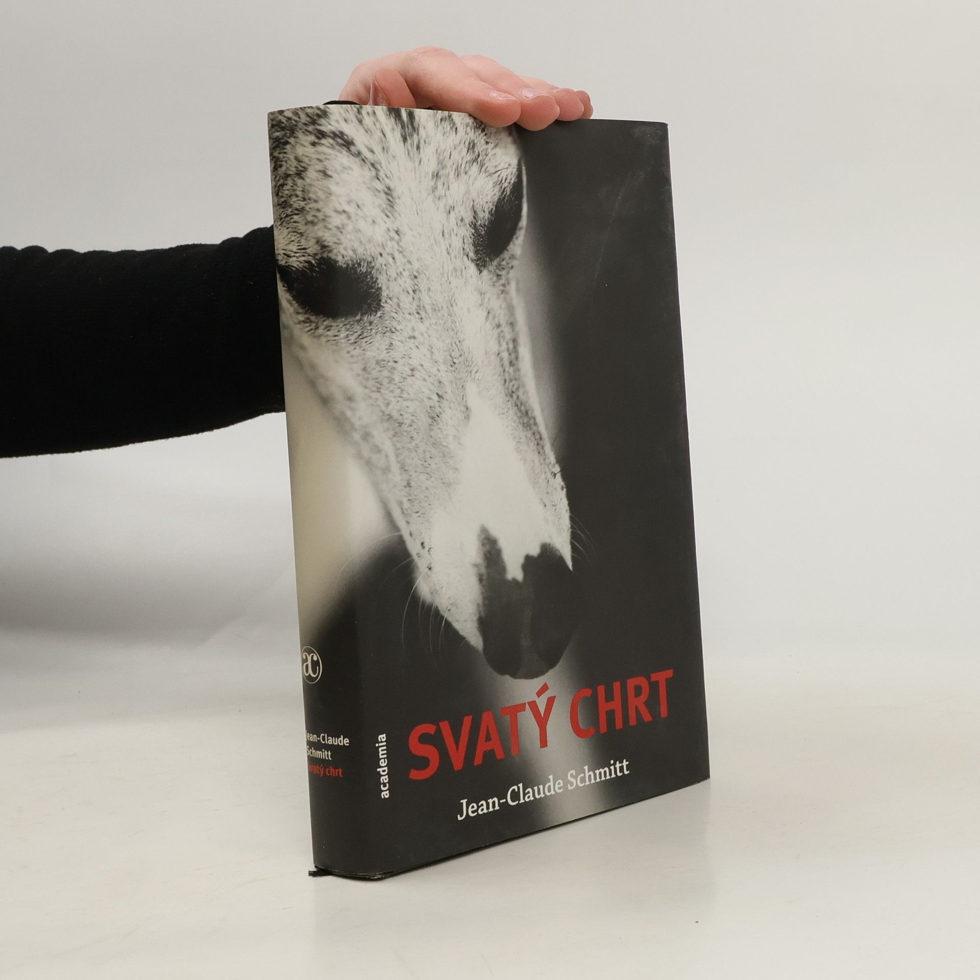 Jean-Claude Schmitt Svatý chrt : Guinefort, léčitel dětí ze 13. století