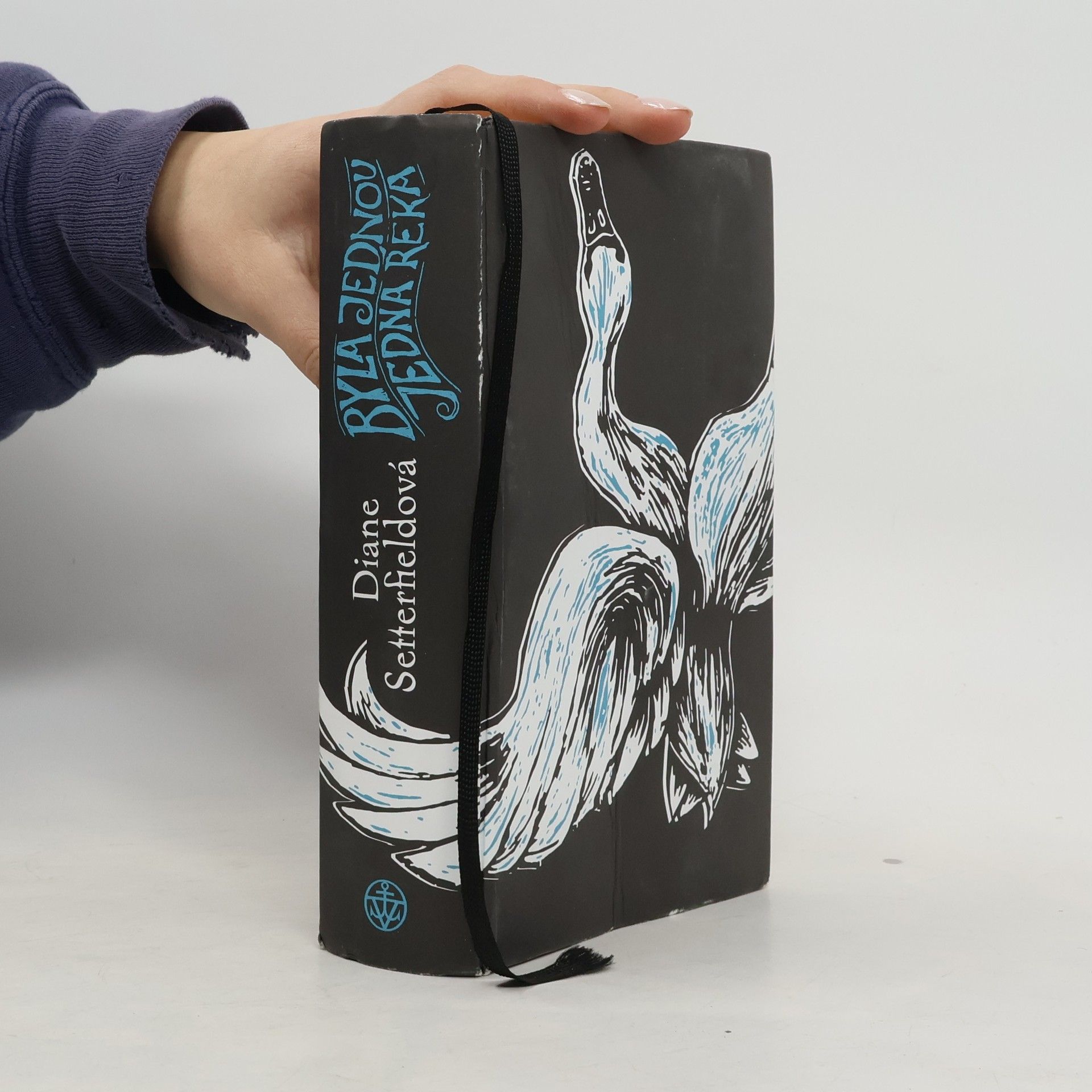 Diane Setterfield Byla jednou jedna řeka