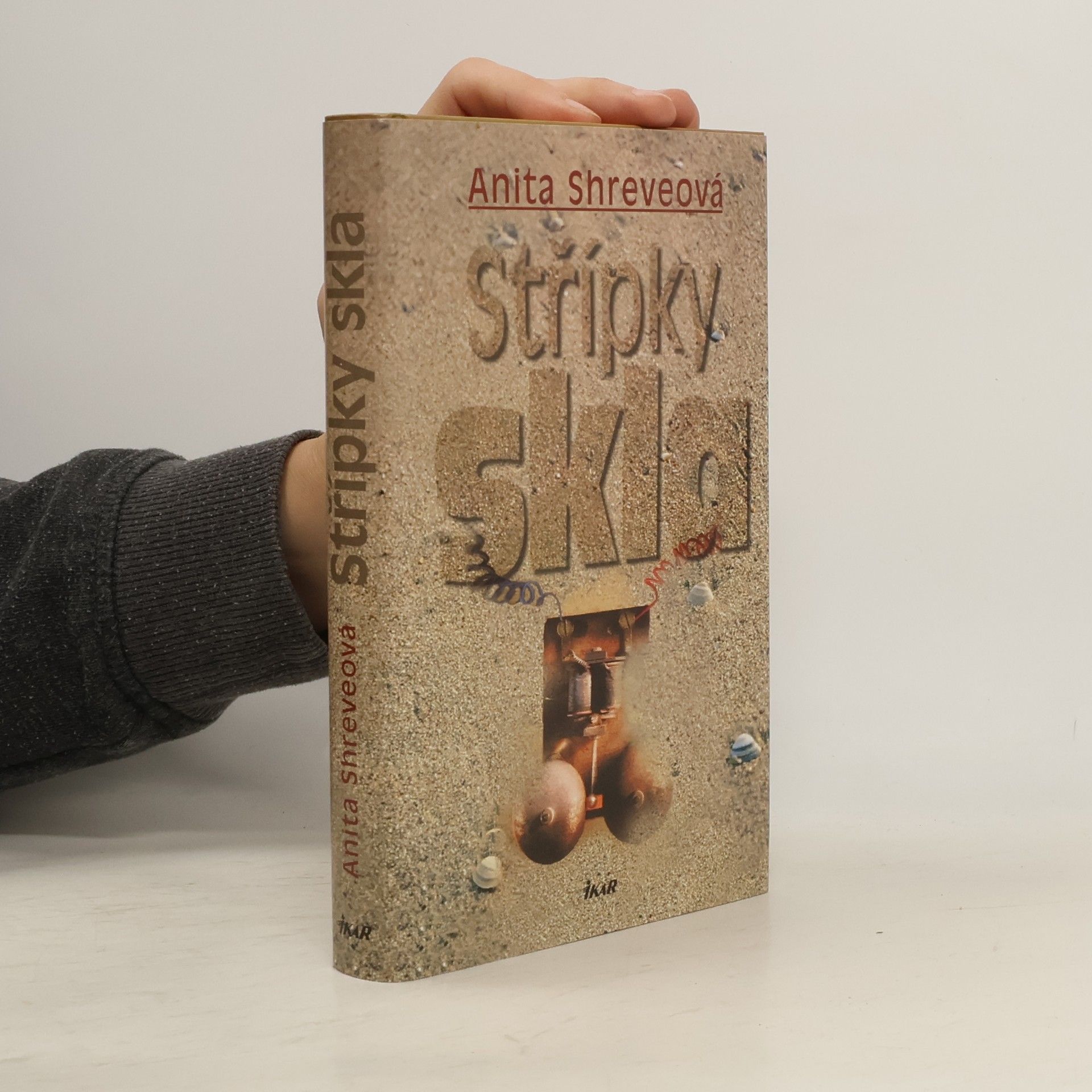 Anita Shreve Střípky skla