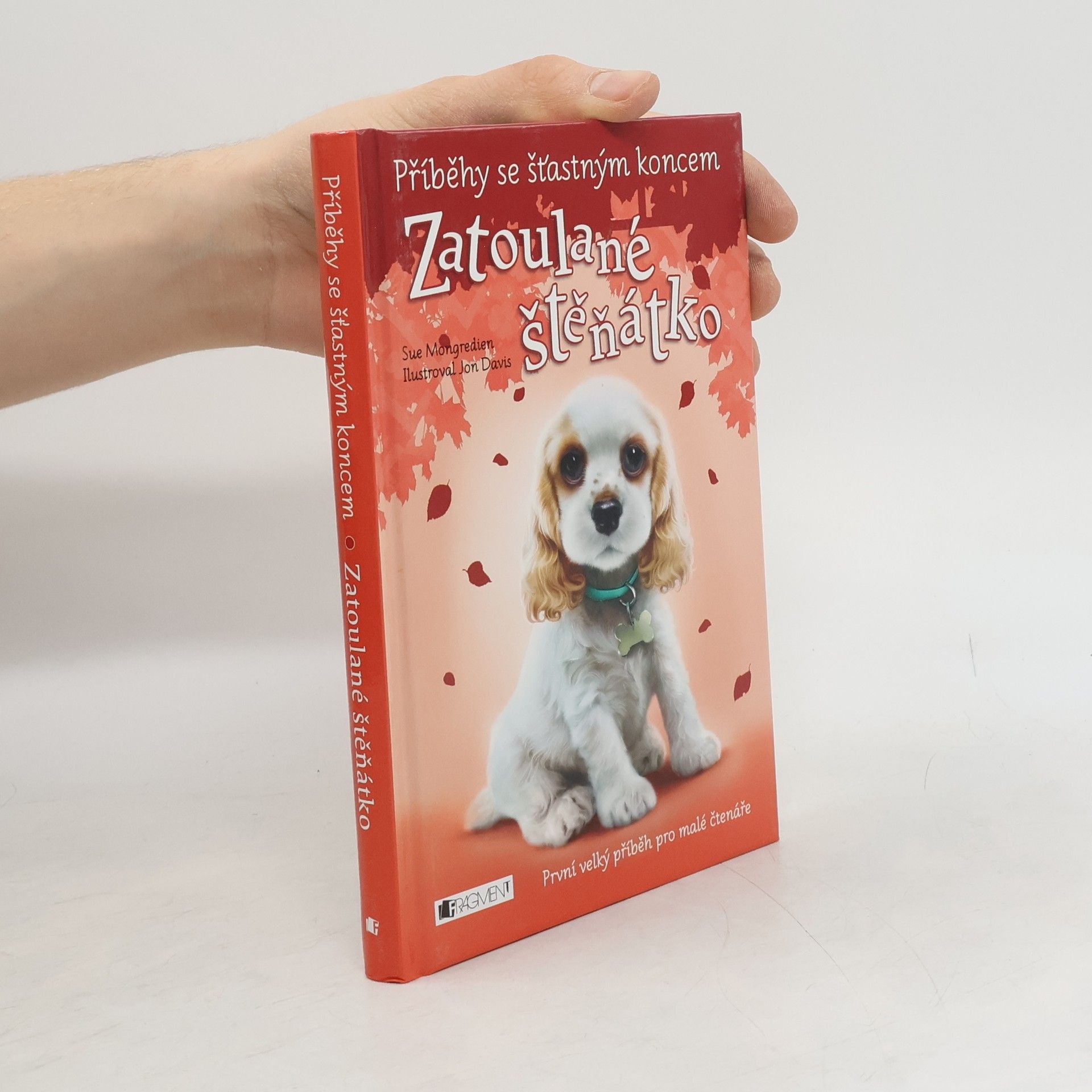 Jon Davis Zatoulané štěňátko