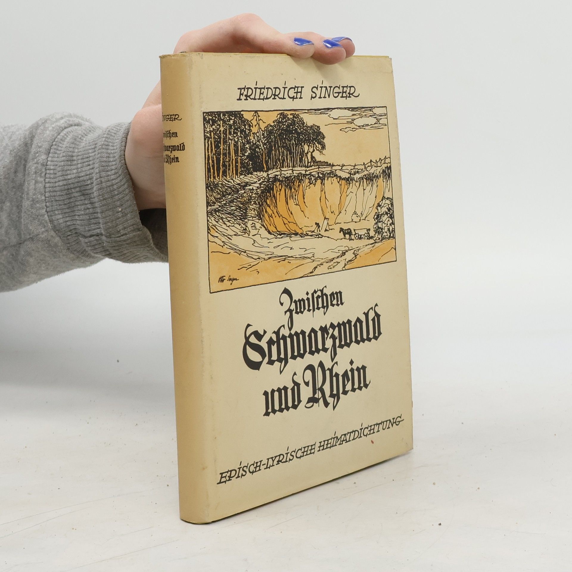 Zwischen Schwarzwald und Rhein