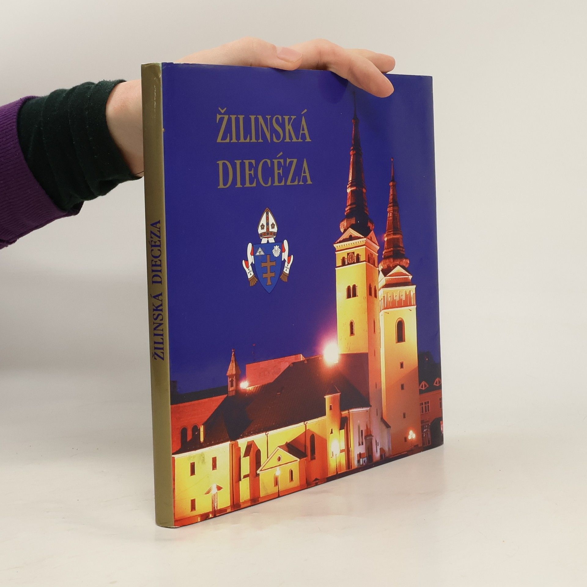 Peter Holbička Žilinská diecéza