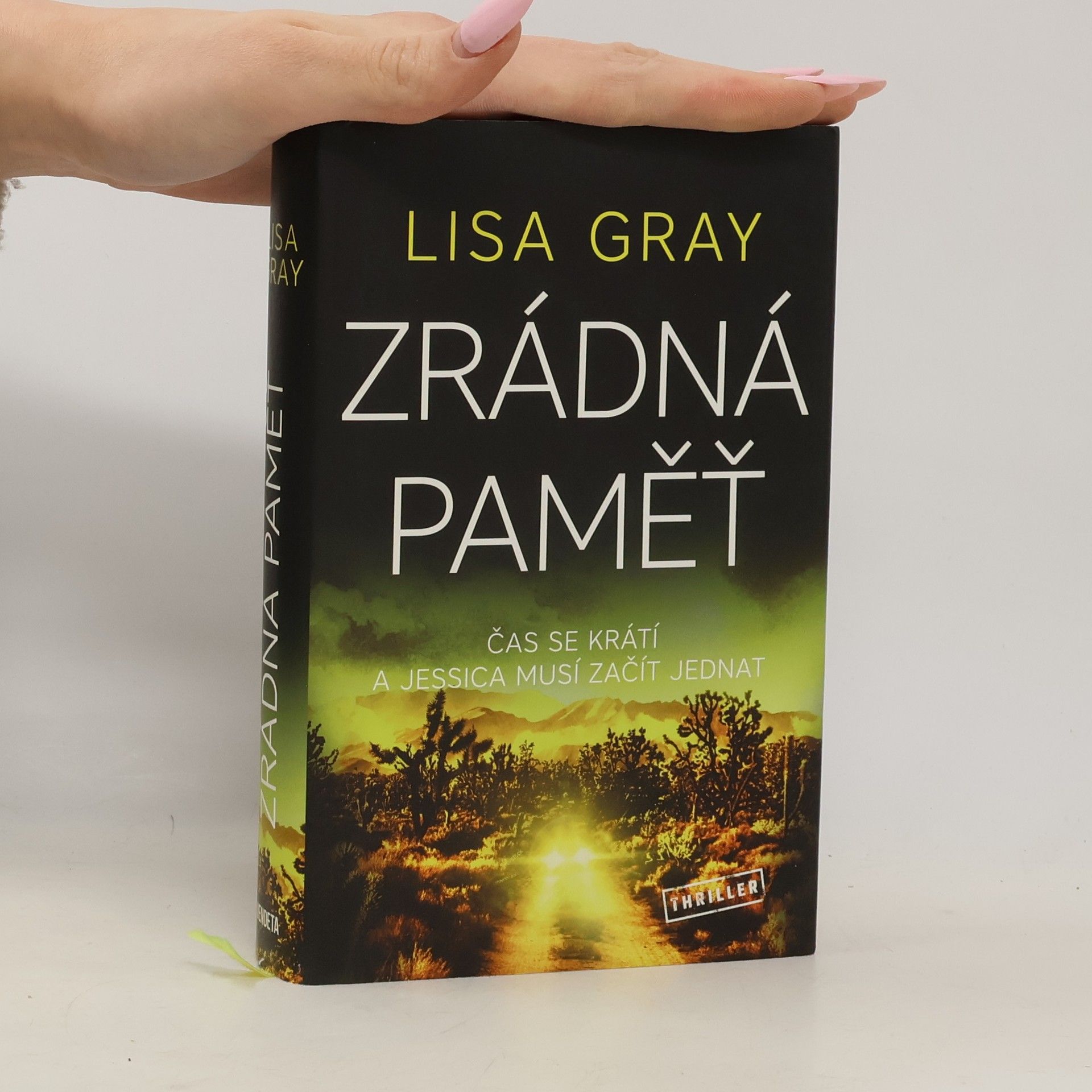 Lisa Gray Zrádná paměť
