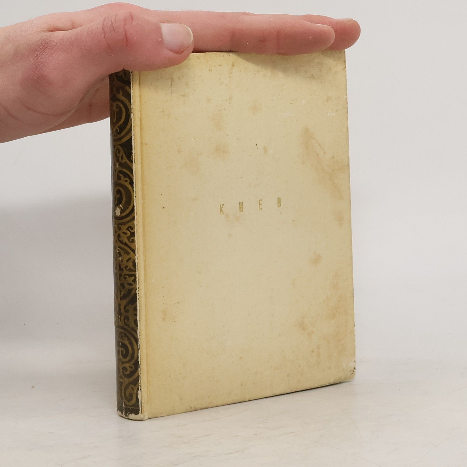 Григорий Никонович Логвин Киев