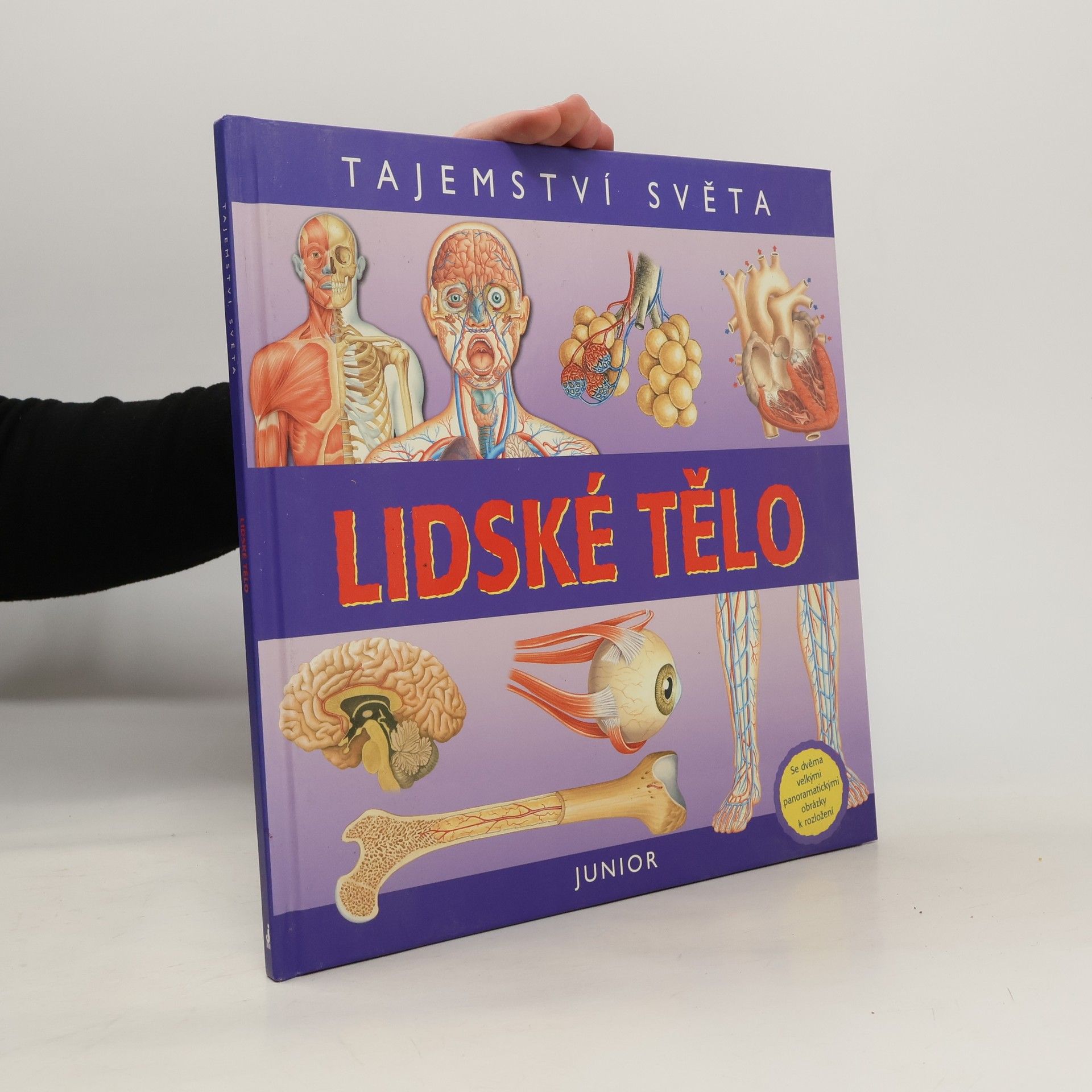 Nicholas Harris Lidské tělo