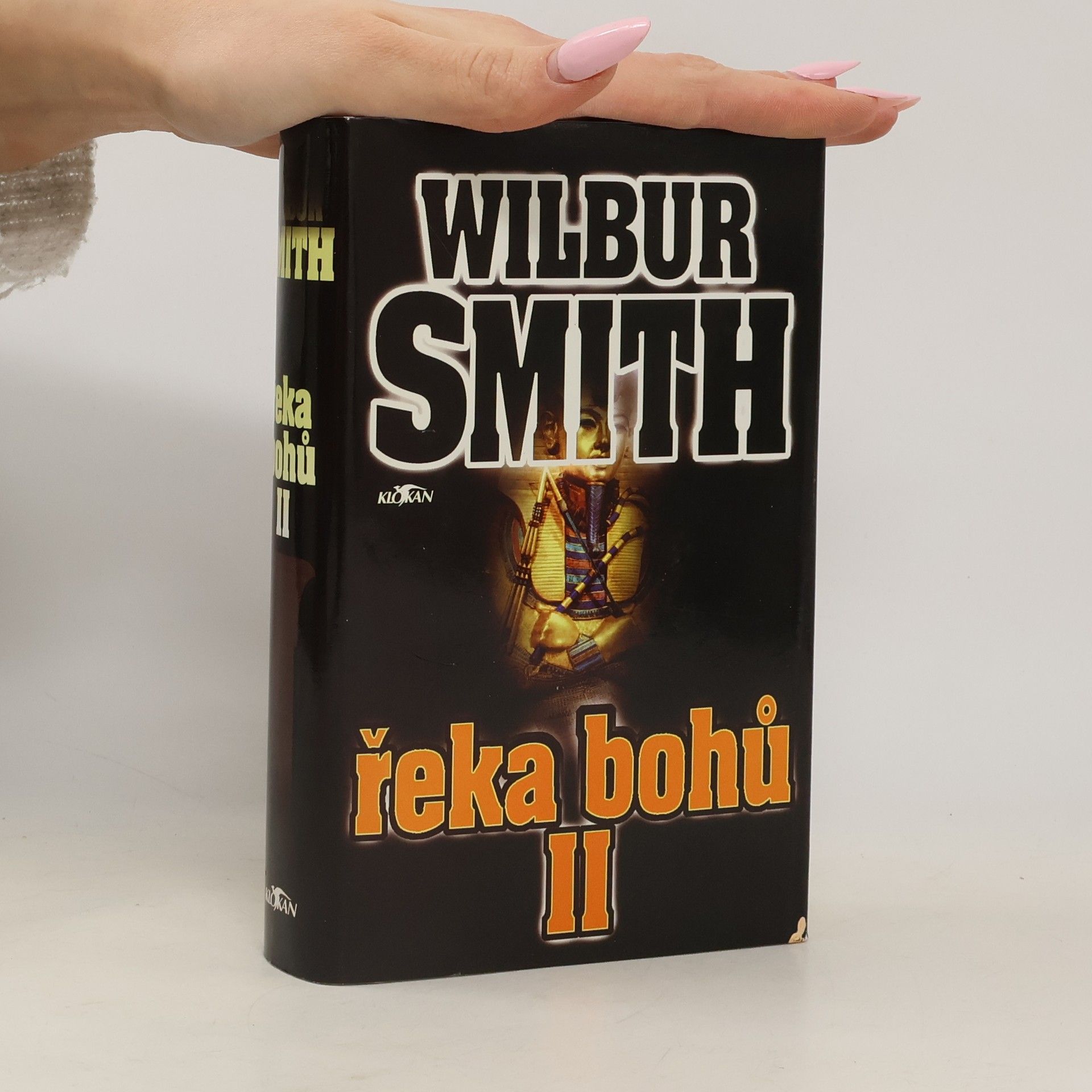 Wilbur Smith Řeka bohů II
