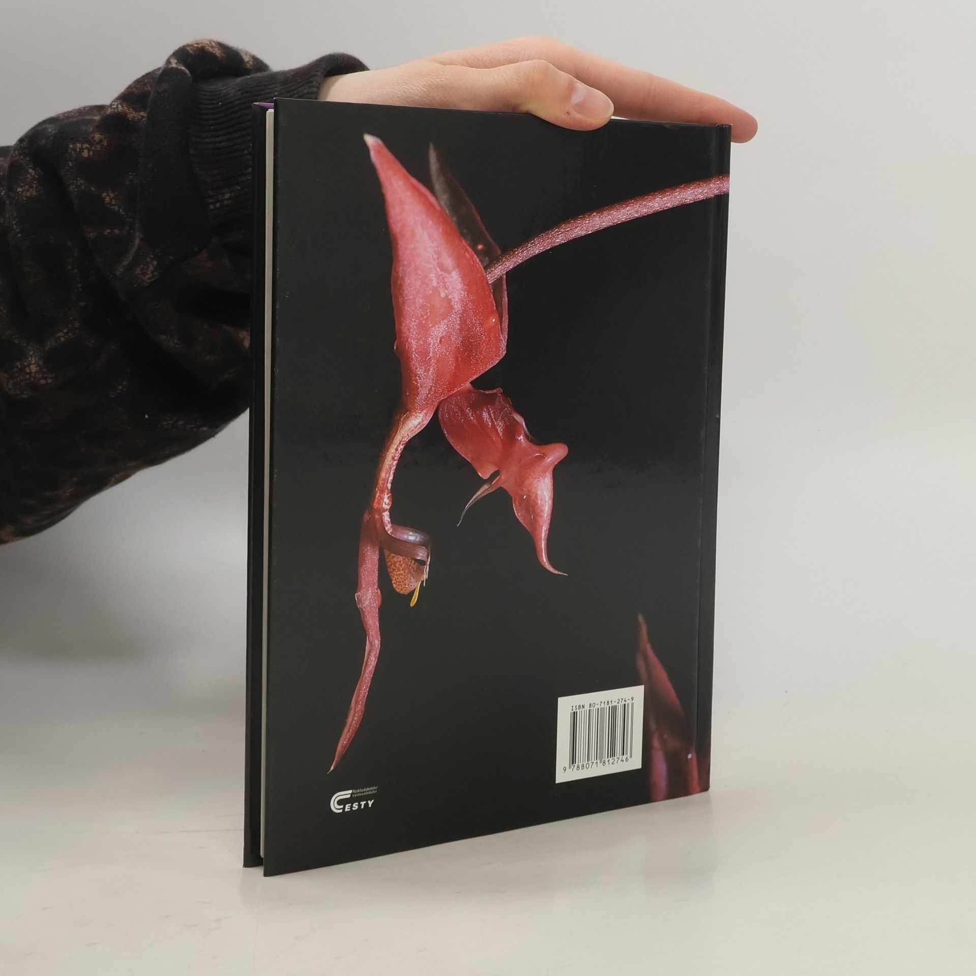 Jiří Haager Orchideje v bytě